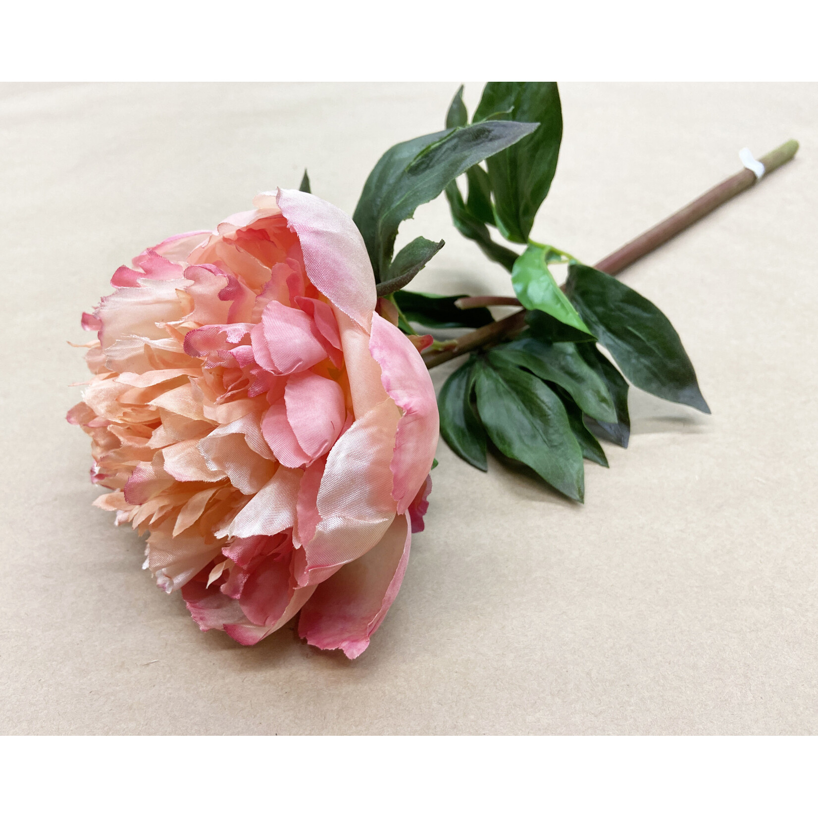 21" PEONY OPEN SHORT STEM SALMON