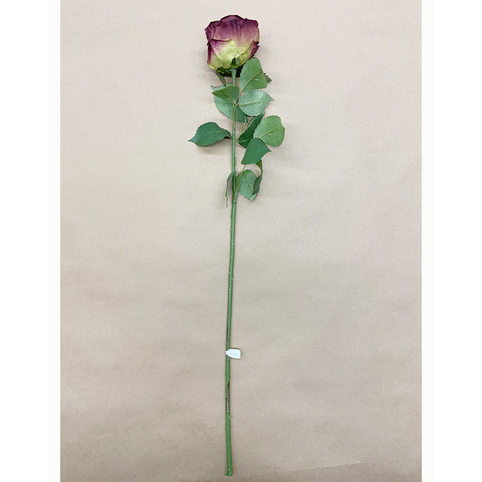 27.5" LG COTTAGE ROSE BUD SPRAY EGGPLANT