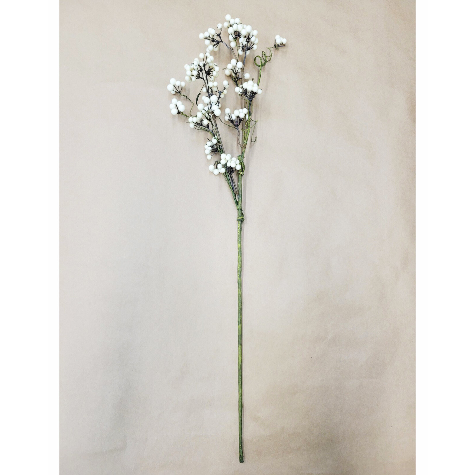 30" NEW EVA BERRY SPRAY CREAM