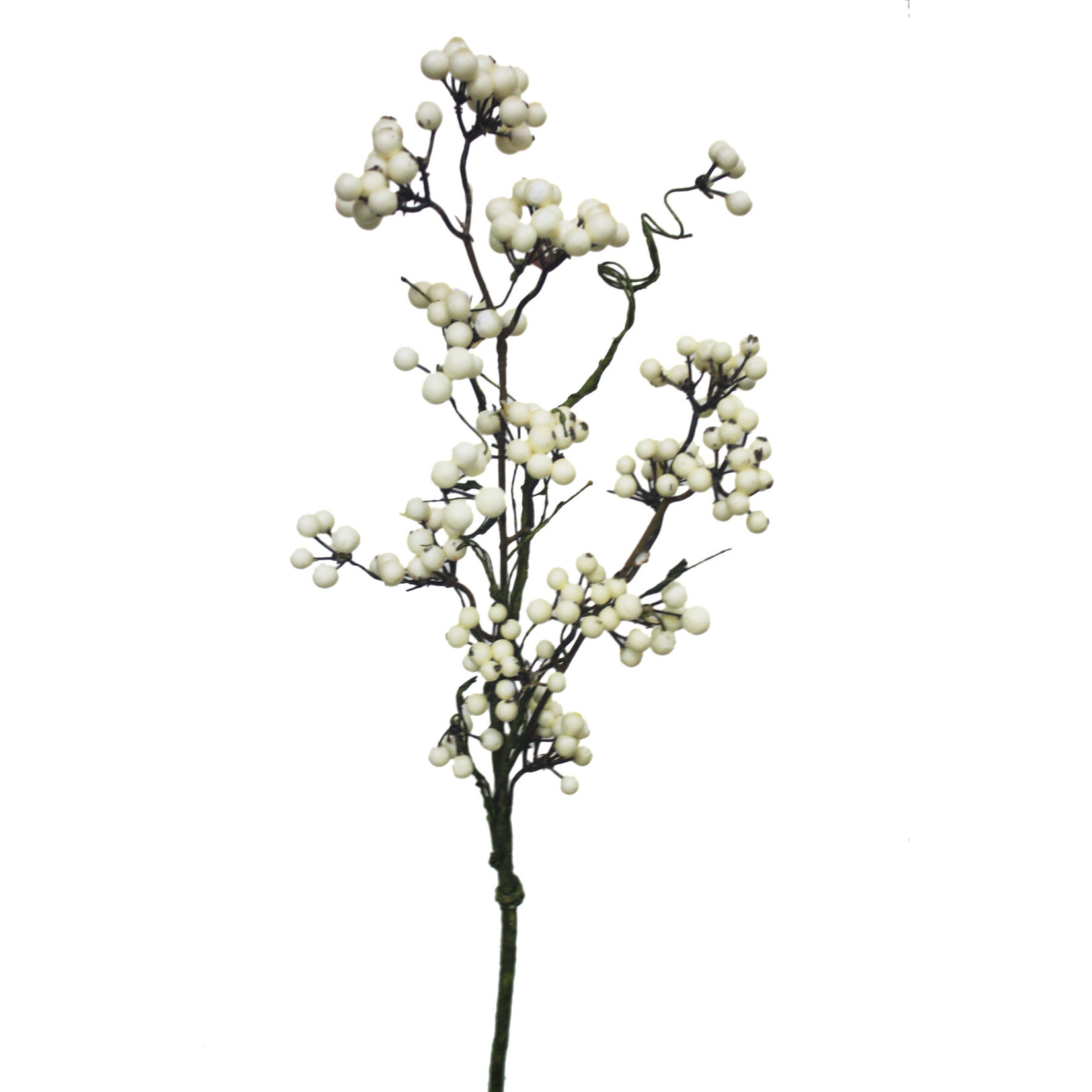 30" NEW EVA BERRY SPRAY CREAM