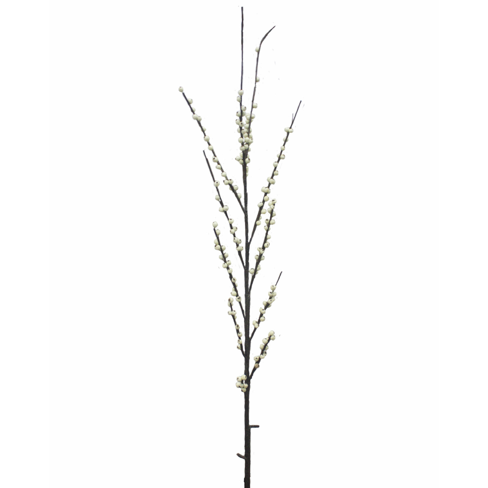 48''ILEX BERRY BRANCH WHITE