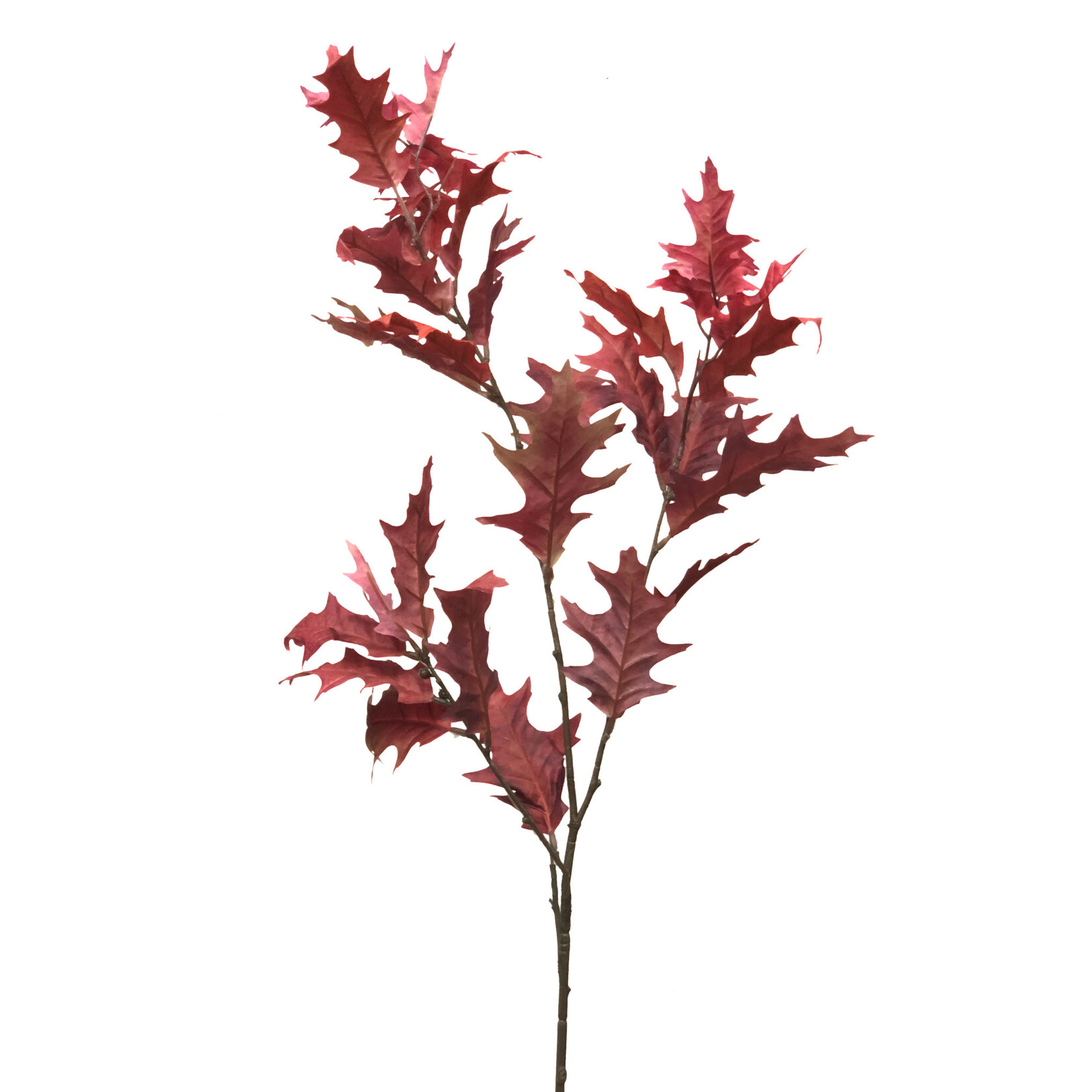 44" OAK LEAF STEM BURGUNDY