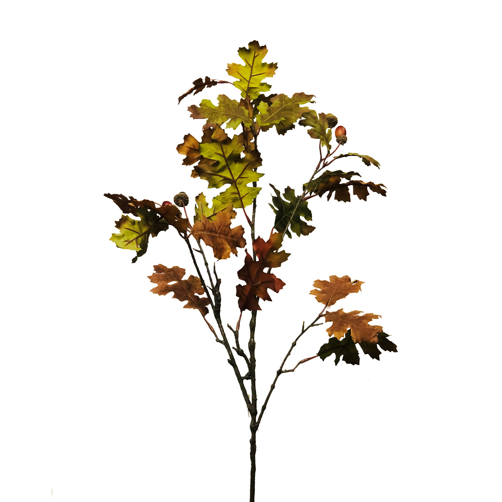 38" OAK LEAF STEM WITH ACORN GREEN