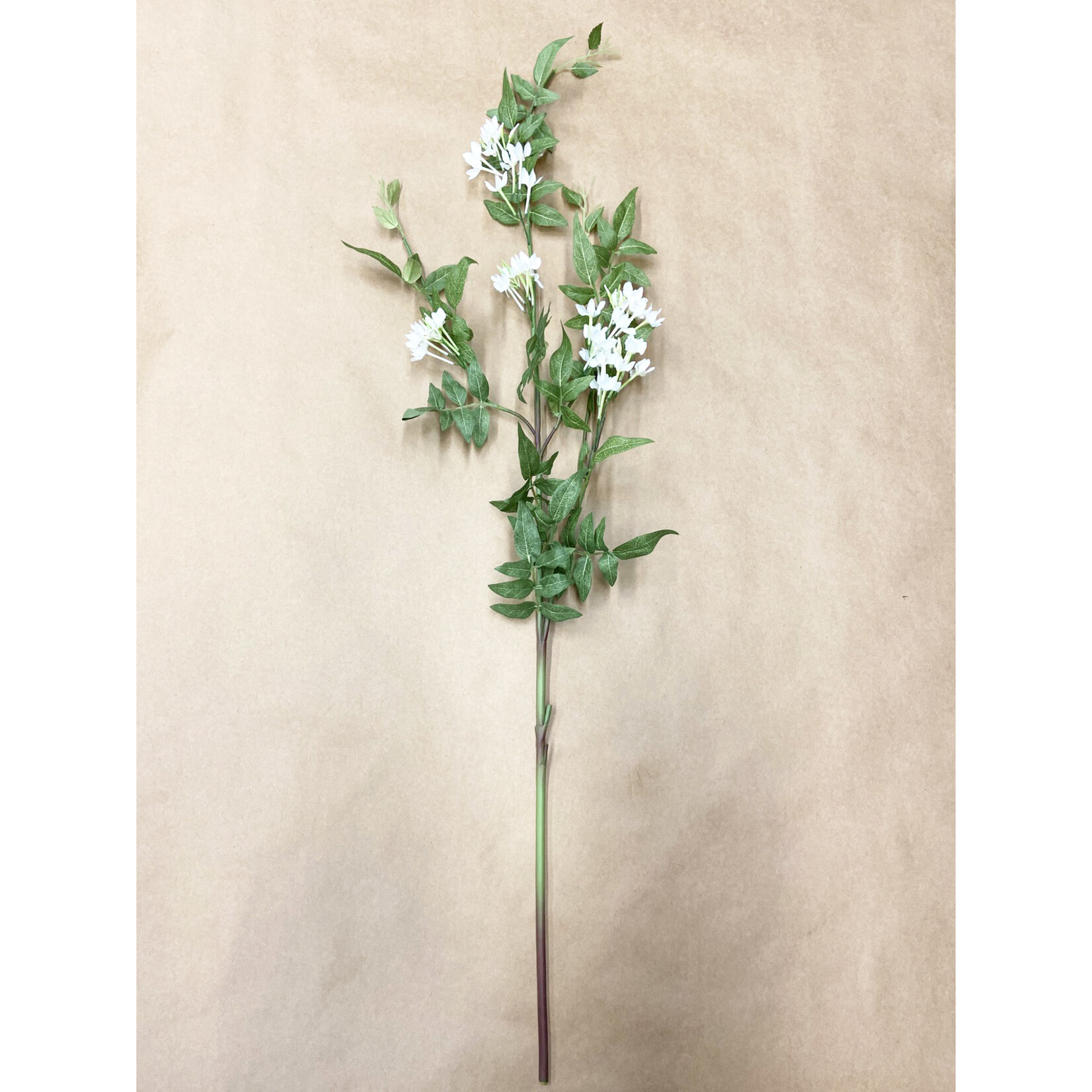 43" JASMINE SPRAY CREAM
