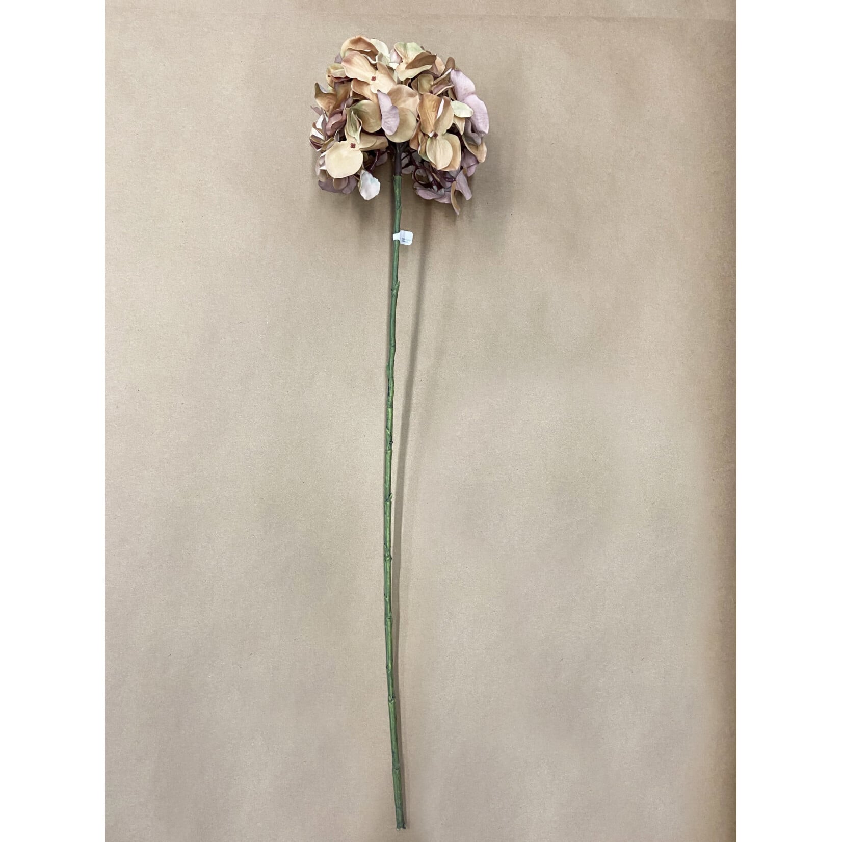 30" HYDRANGEA SPRAY HONEY AMBER
