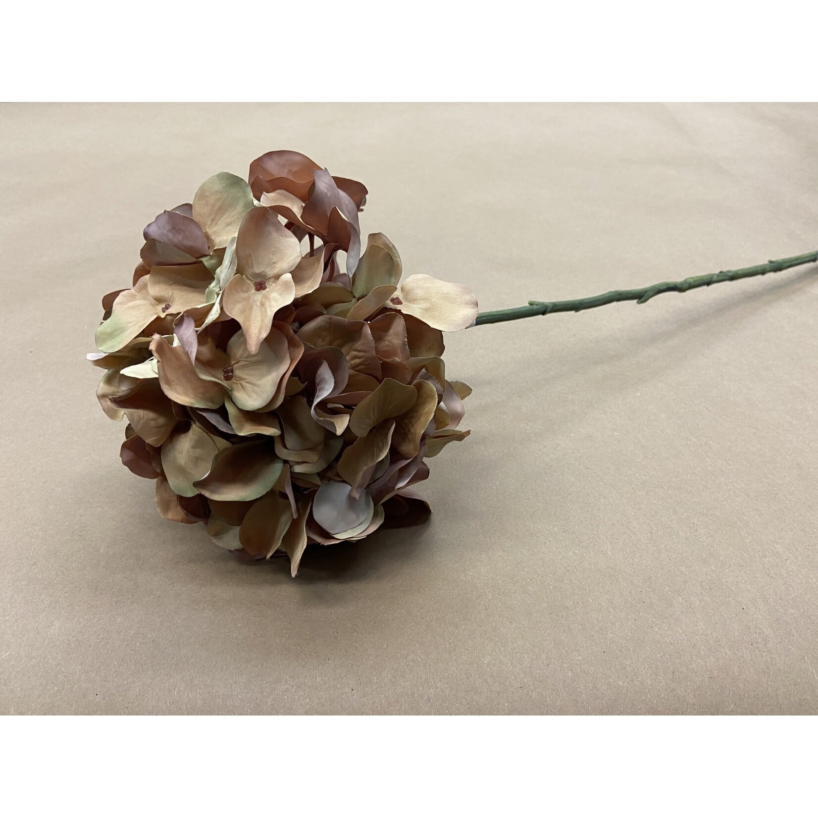 30" HYDRANGEA SPRAY HONEY AMBER