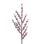 XBE524-RE: 34" BERRY SPRAY RED