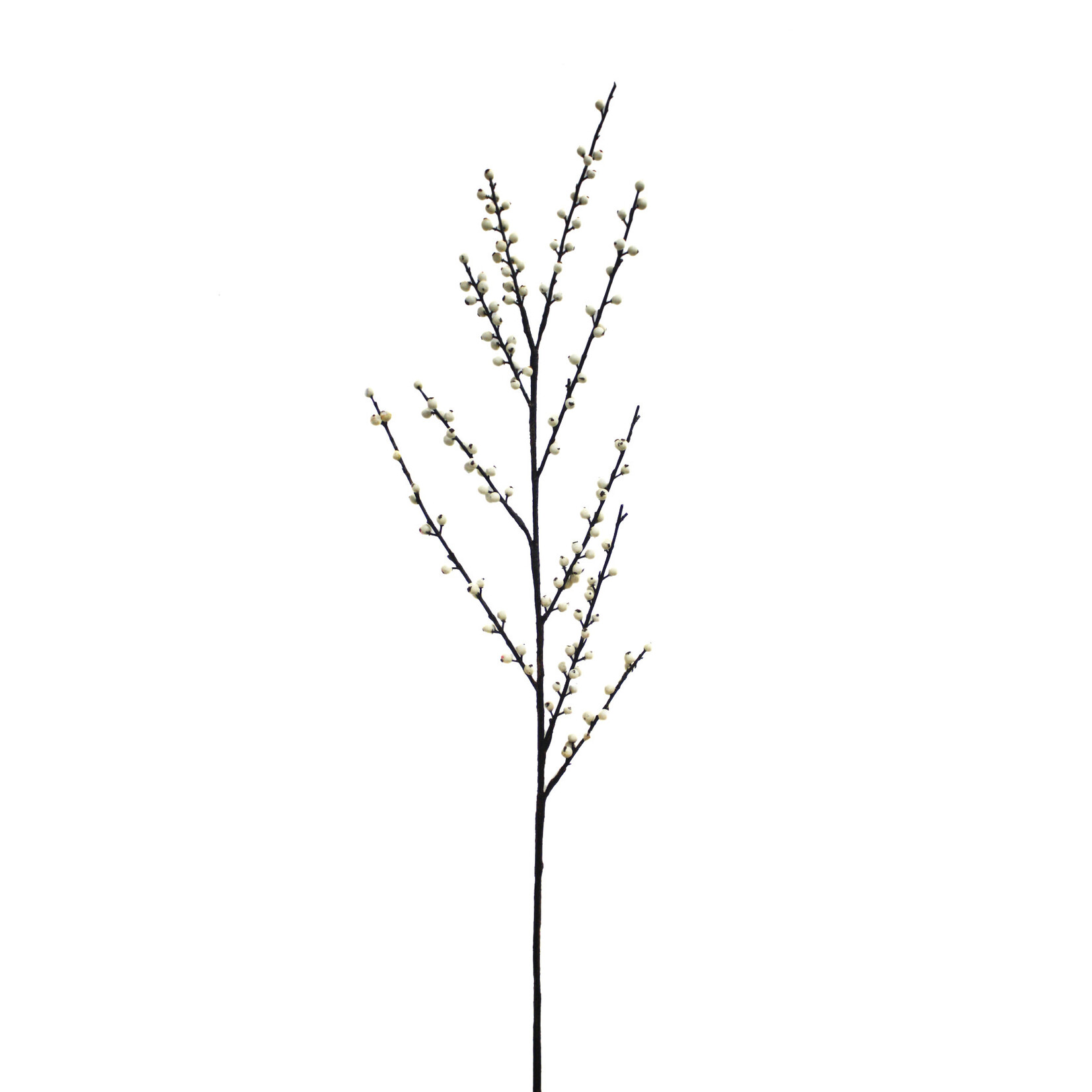 48" BERRY SPRAY WHITE