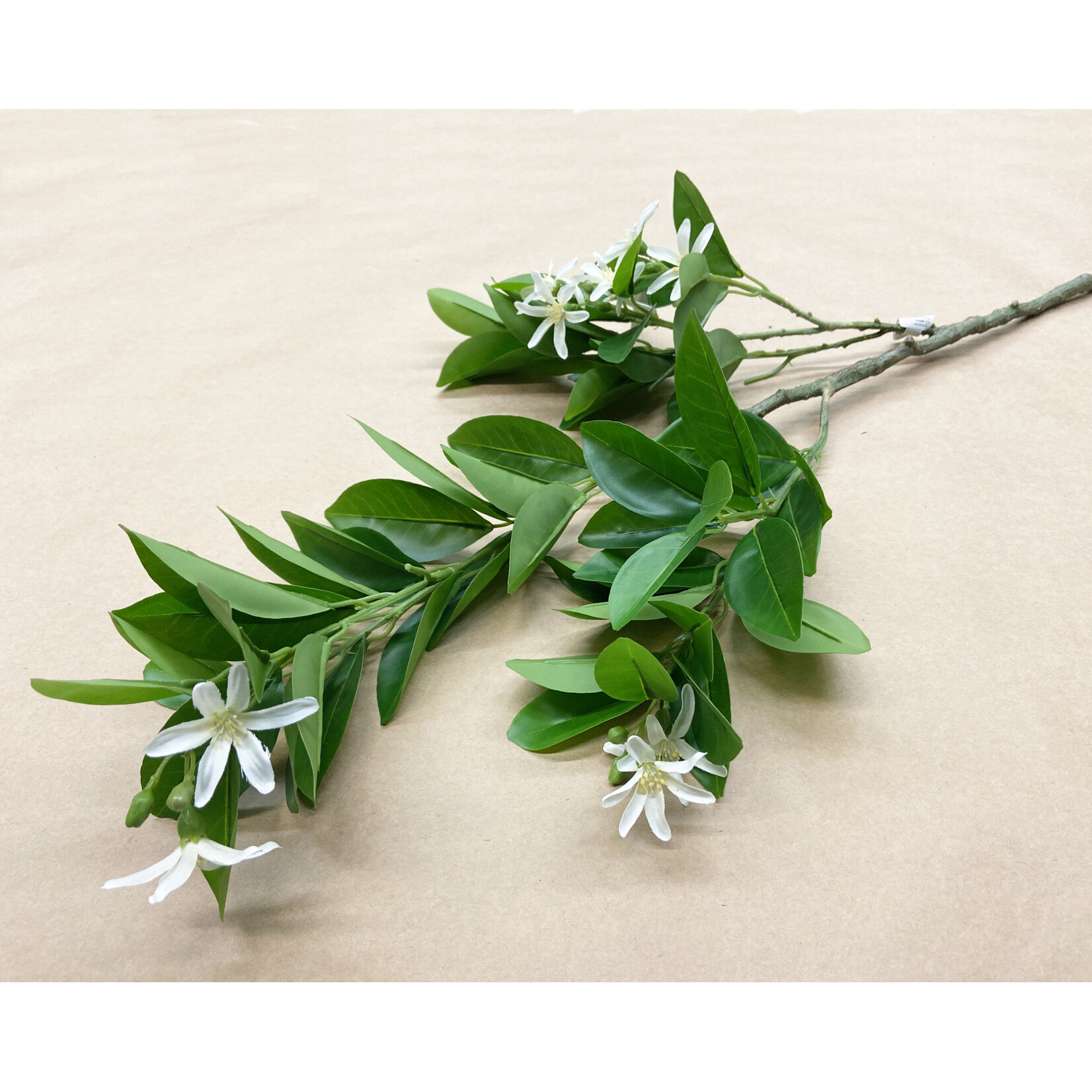 32" ORANGE BLOSSOM BRANCH GREEN WHITE