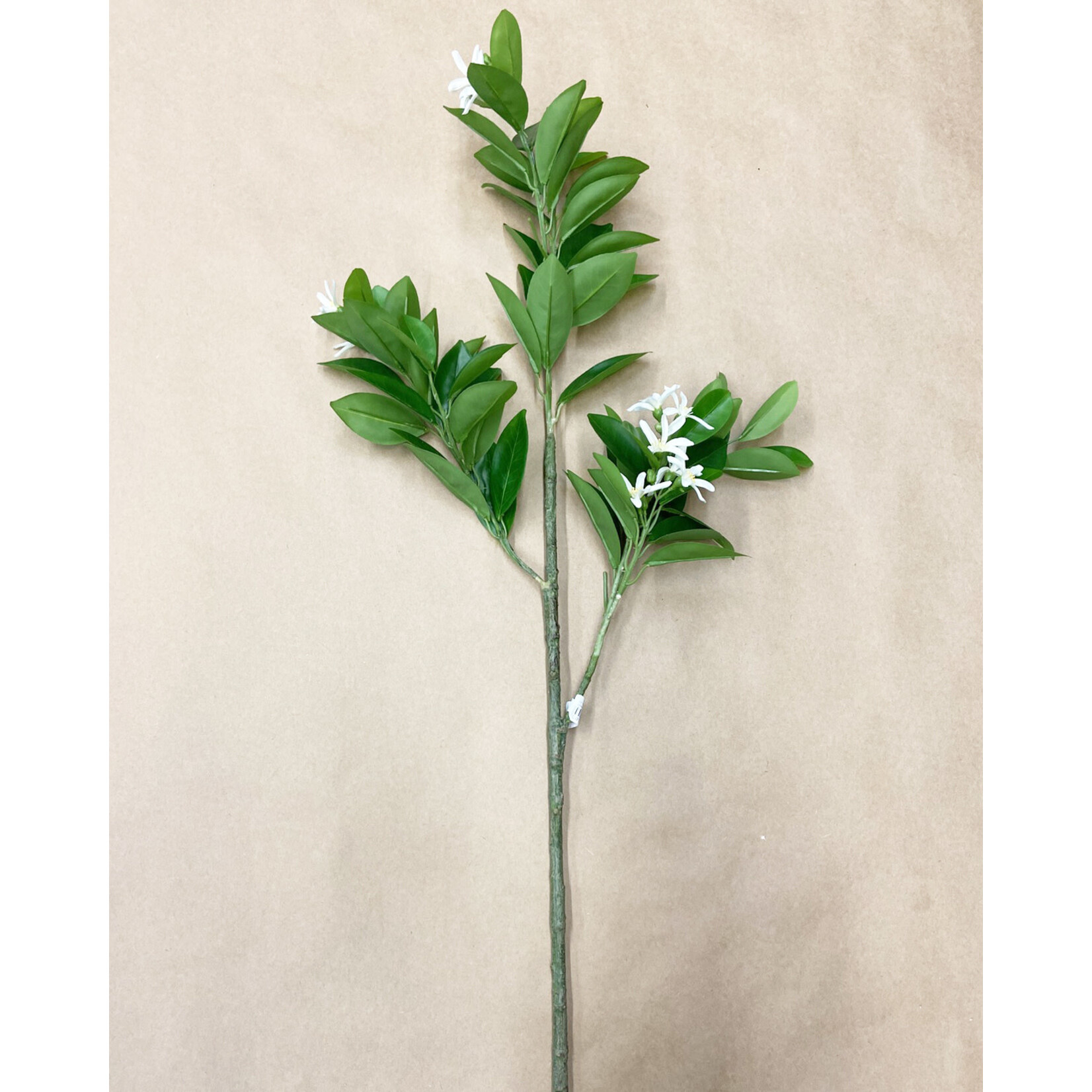 32" ORANGE BLOSSOM BRANCH GREEN WHITE
