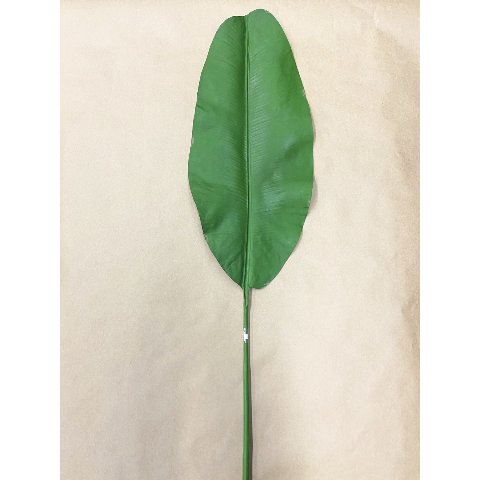 55" BANANA LEAF GREEN