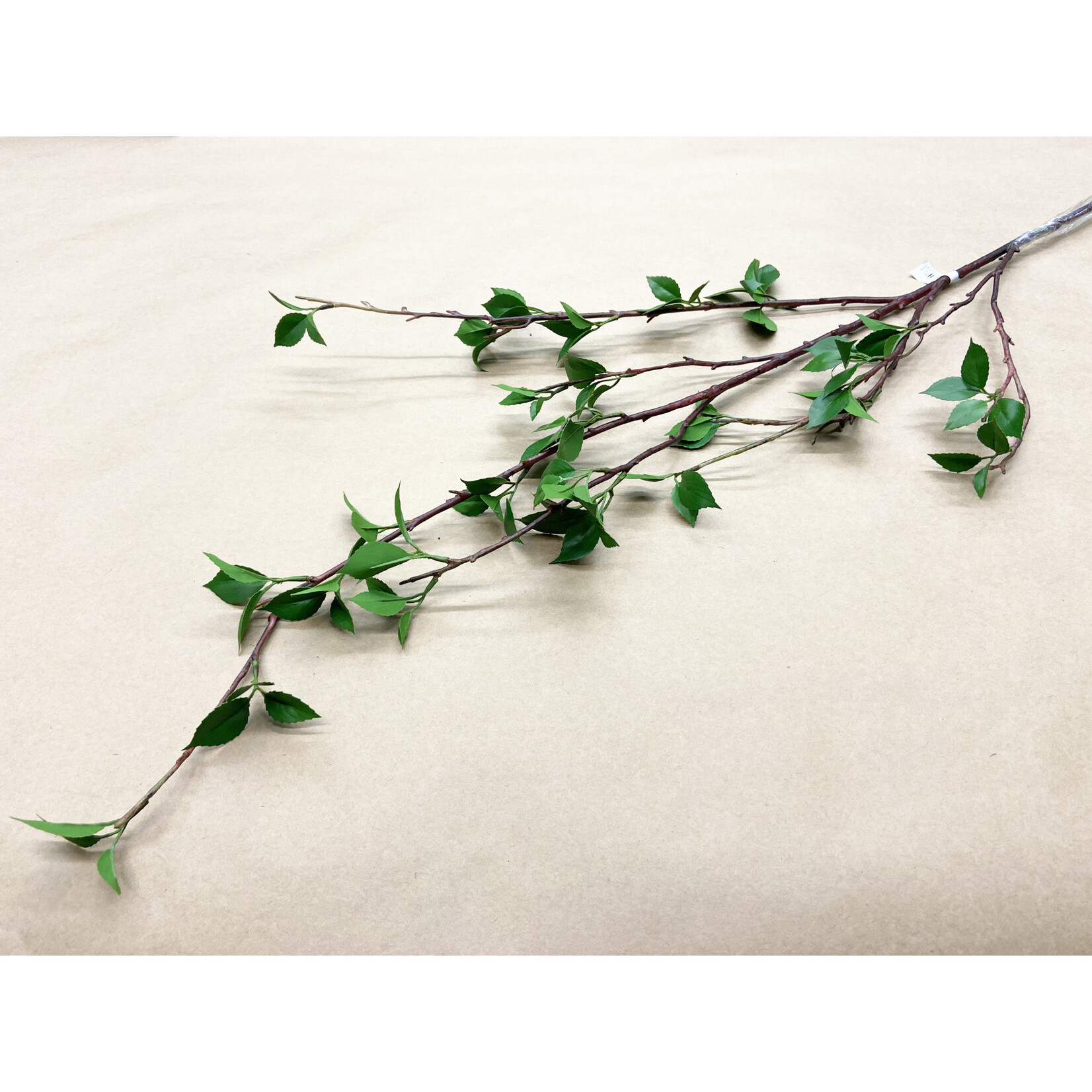 54" BIRCH BRANCH W LEAVES GREEN