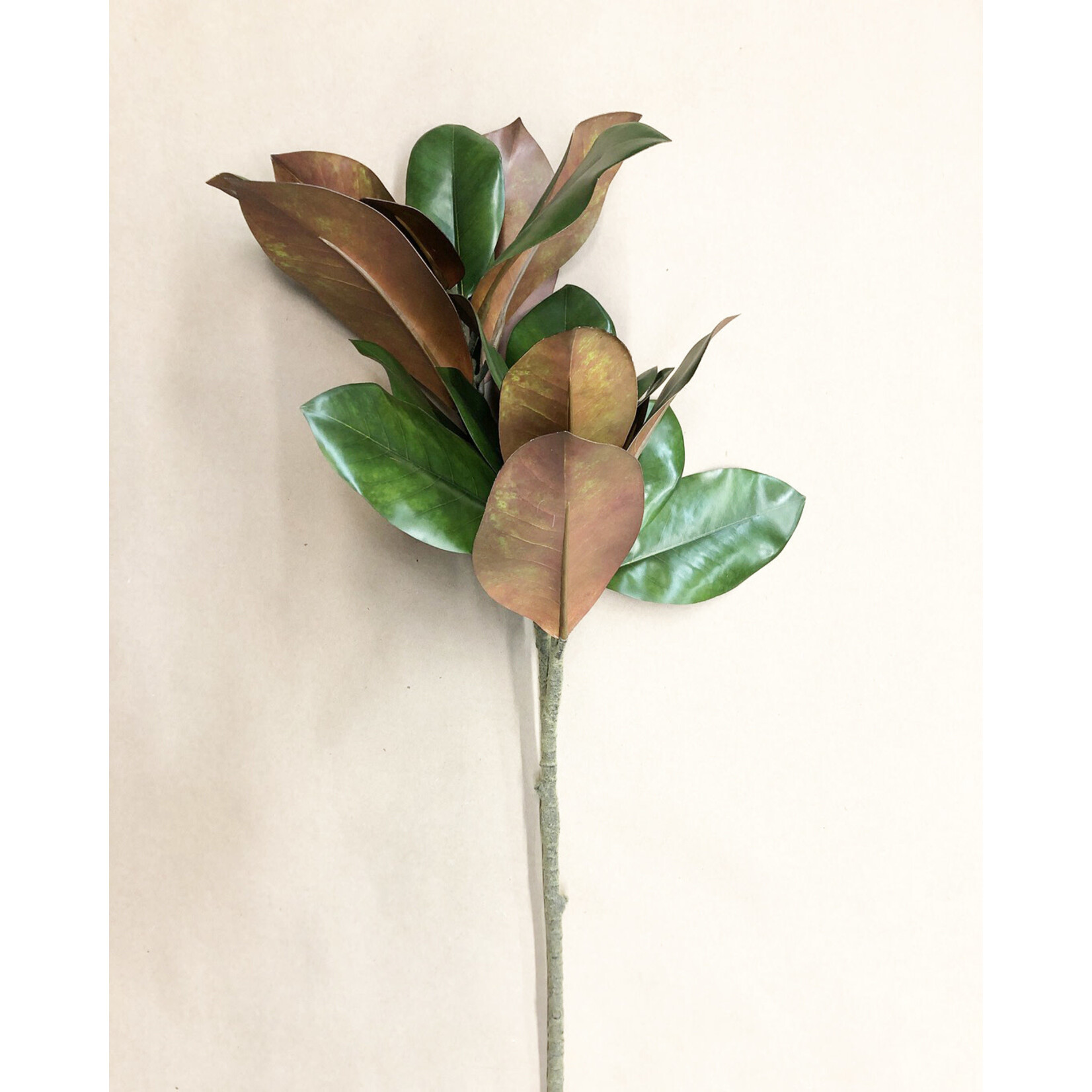 32" MAGNOLIA STEM GREEN