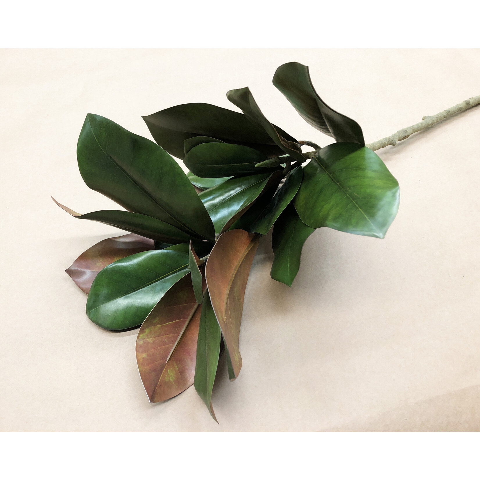 32" MAGNOLIA STEM GREEN