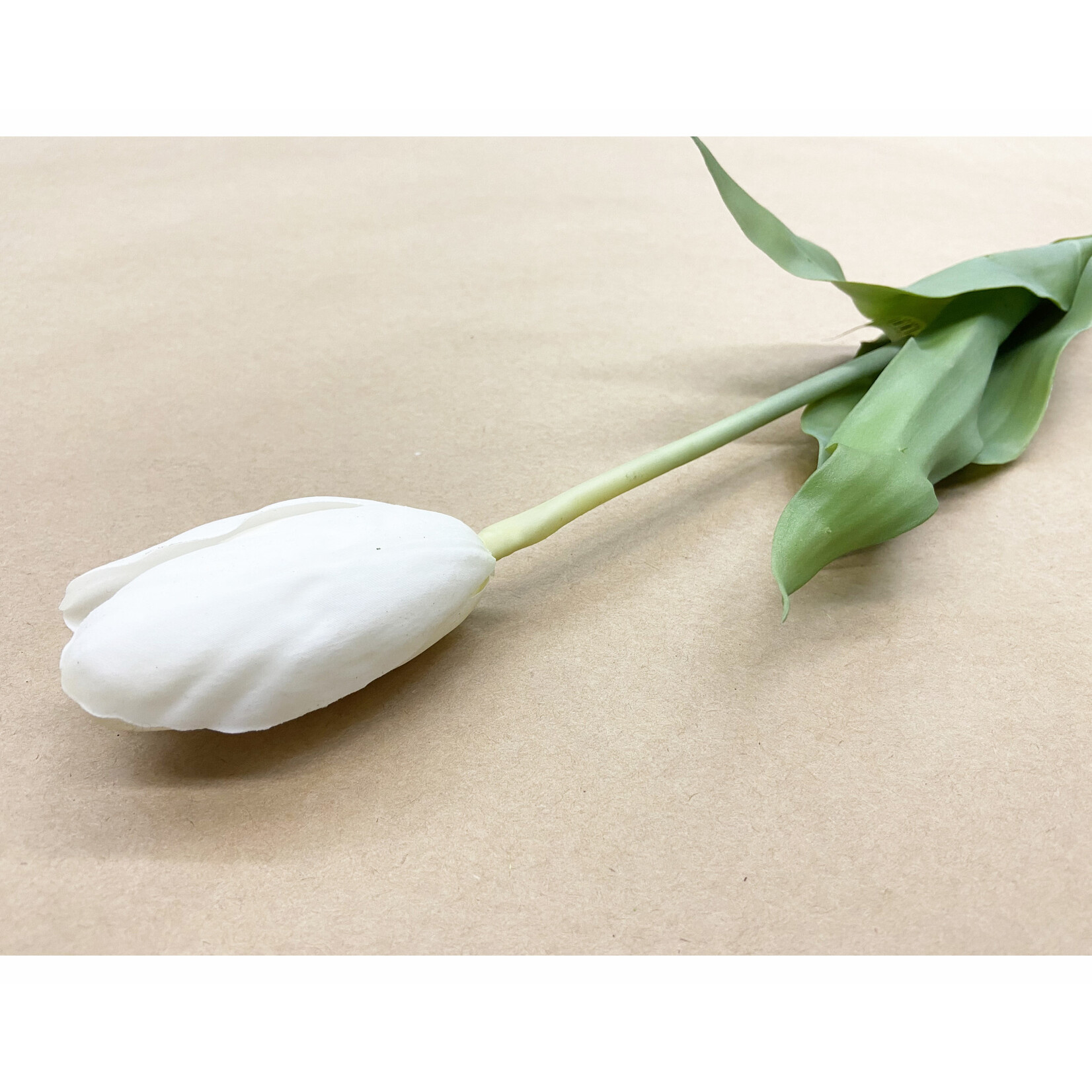 23" TULIP STEM WHITE