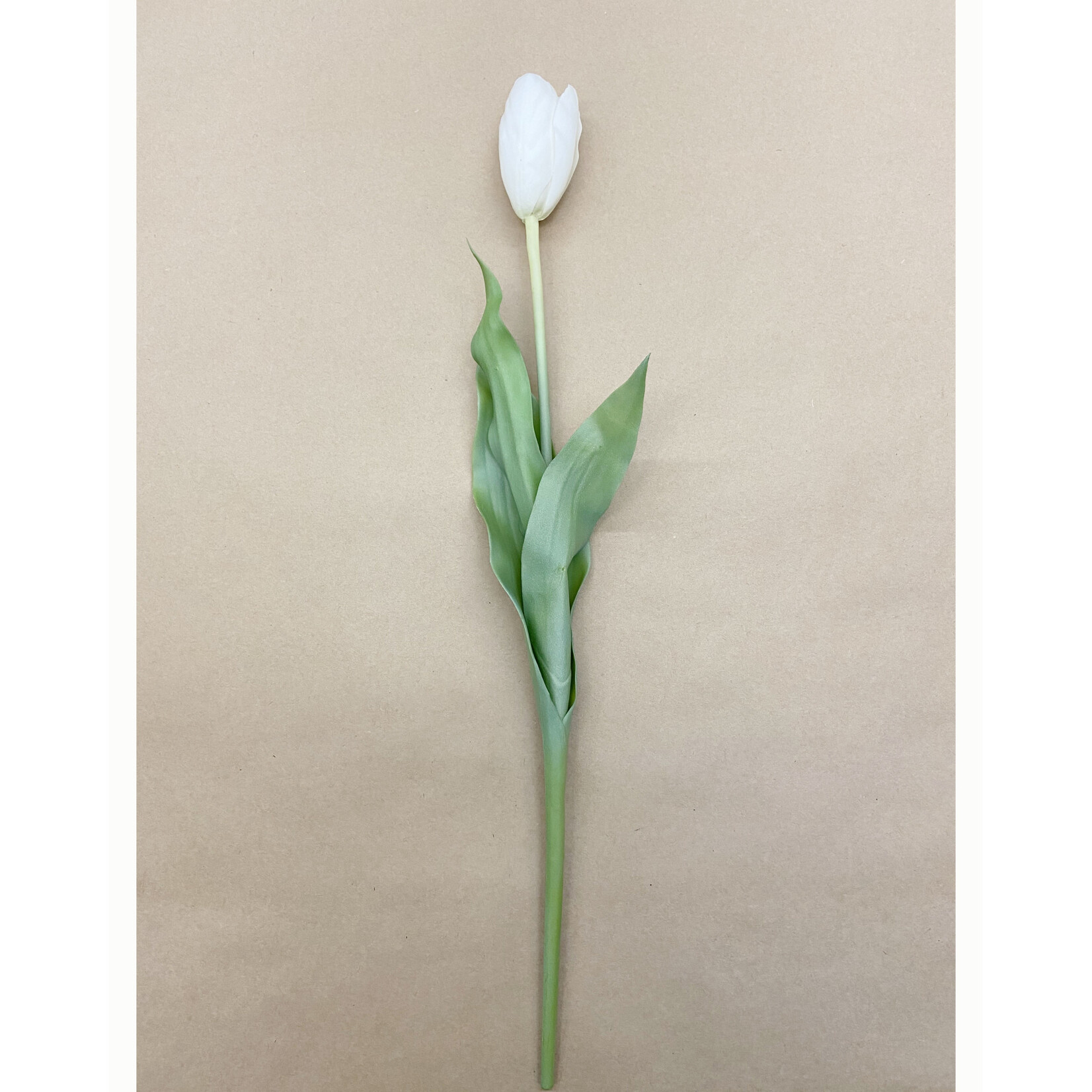 23" TULIP STEM WHITE