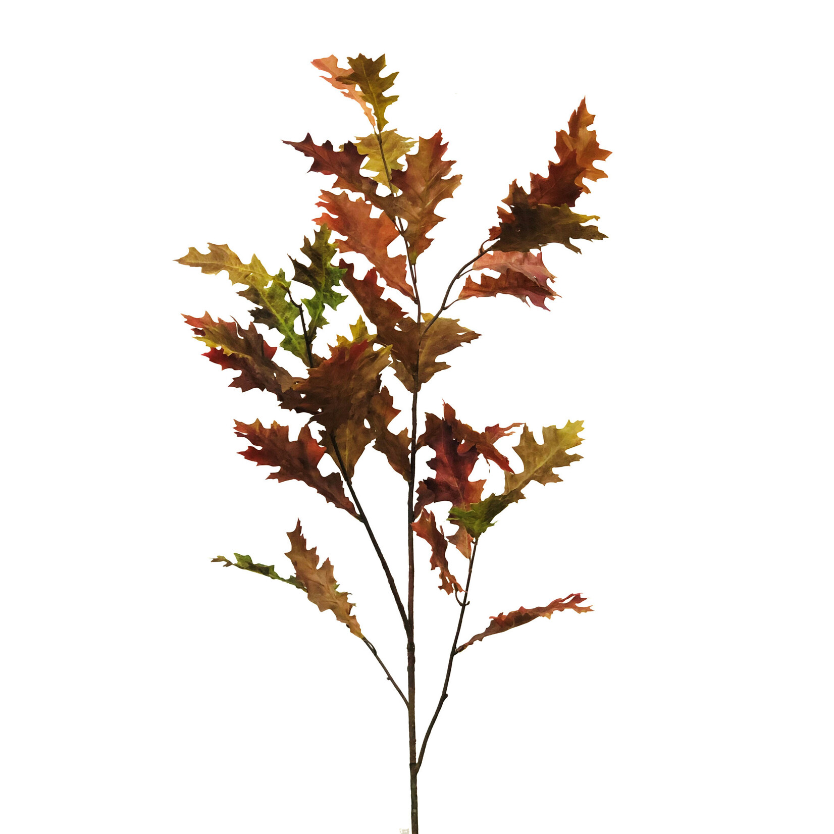 52" OAK BRANCH ORANGE GREEN