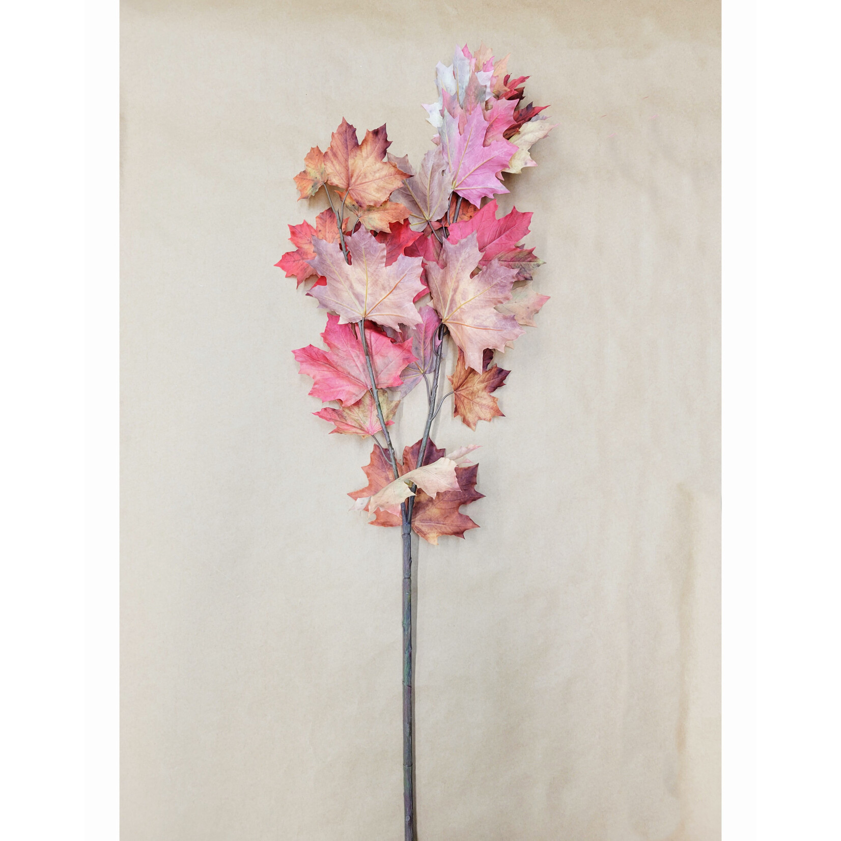 55" MAPLE BRANCH ORANGE