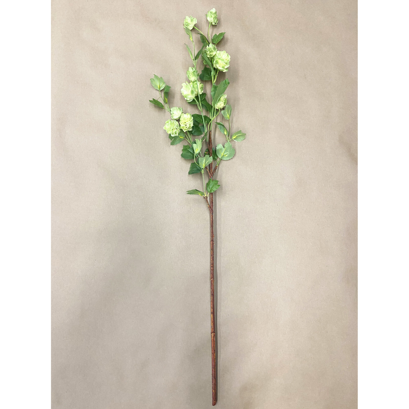 36" HOPS SPRAY GREEN