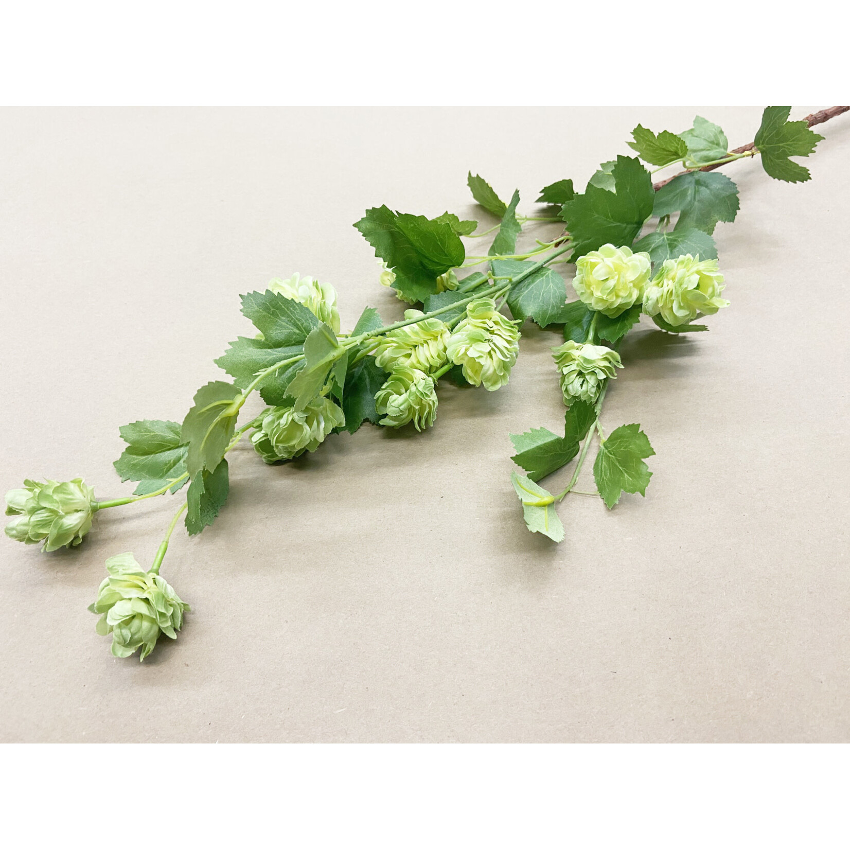 36" HOPS SPRAY GREEN