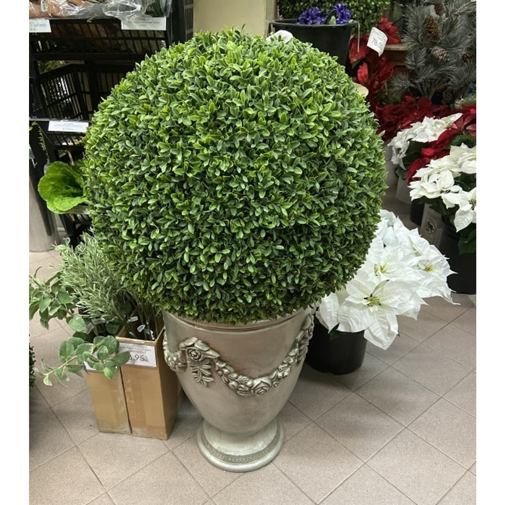 24" BOXWOOD BALL GREEN