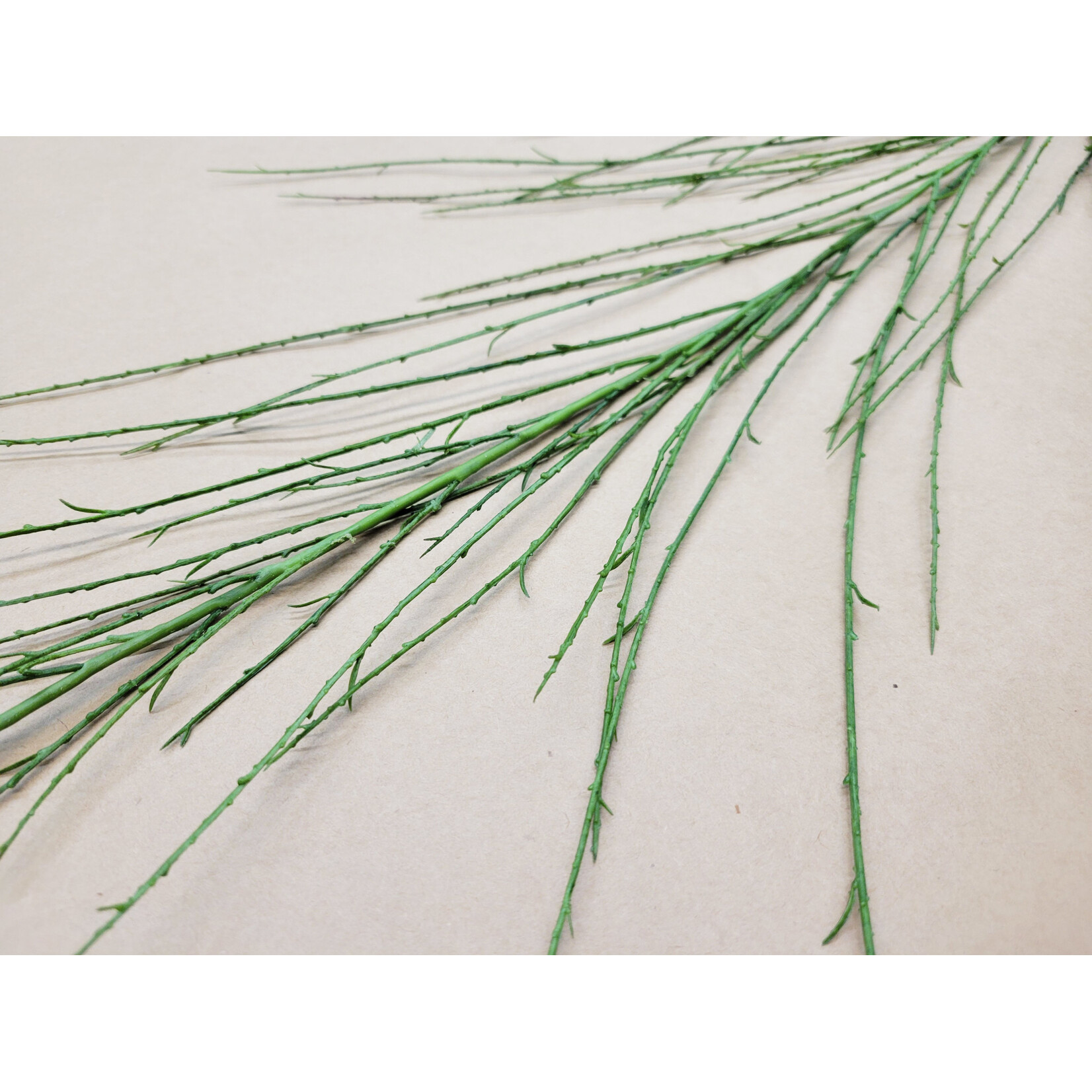 52'' SCOTCH BROOM GREEN