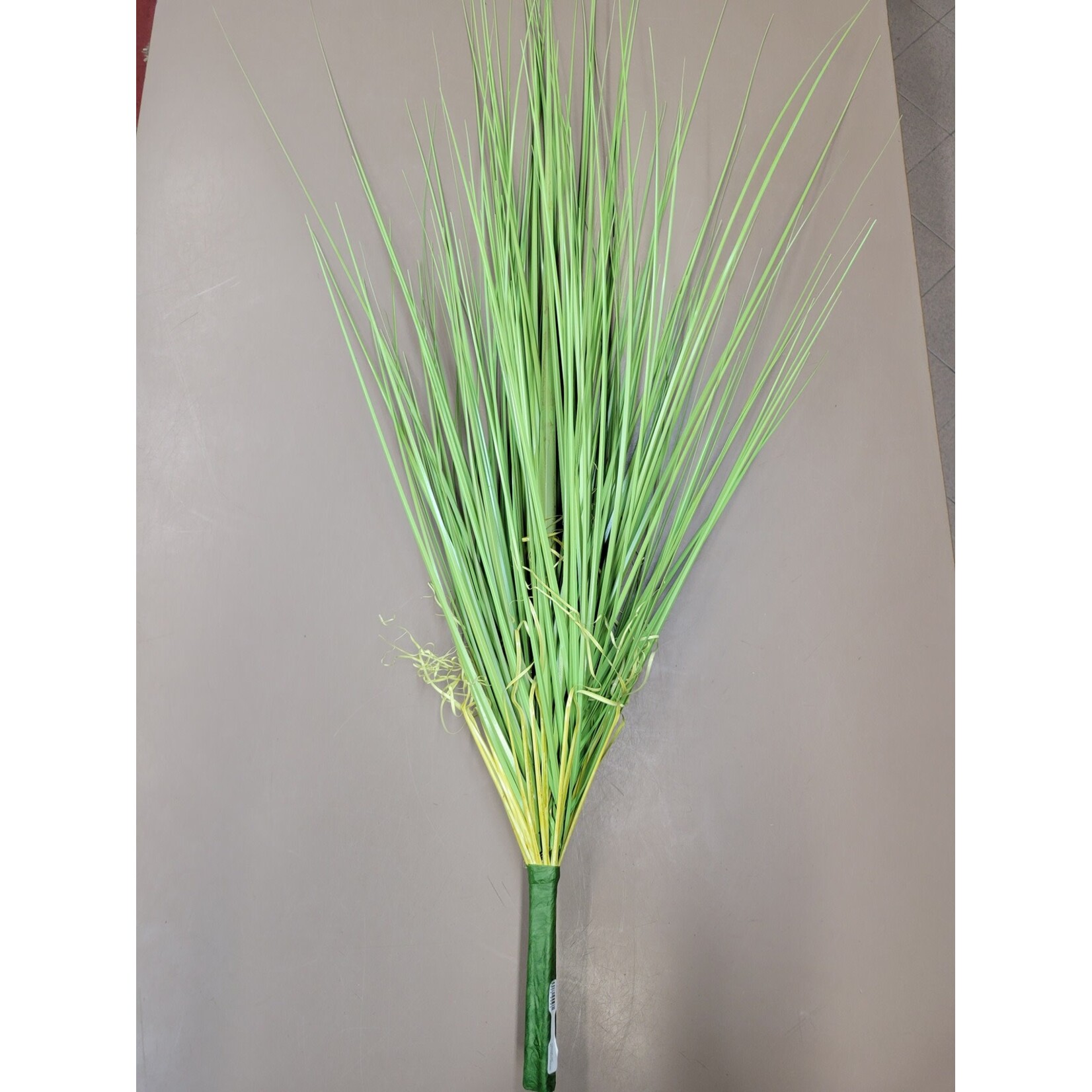40" ONION GRASS BUSH GREEN
