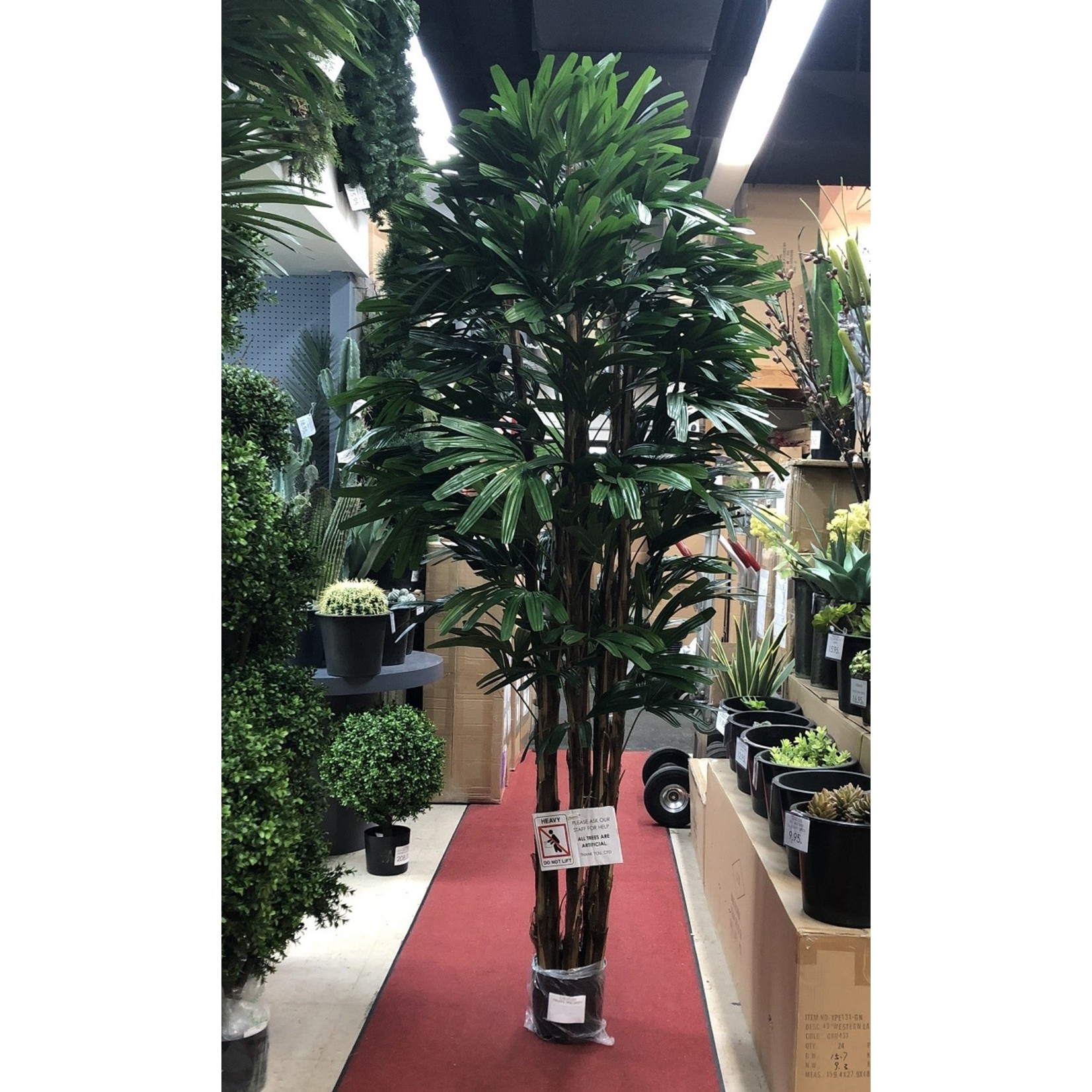 7' RHAPIS TREE IN POT GREEN TWO TONE