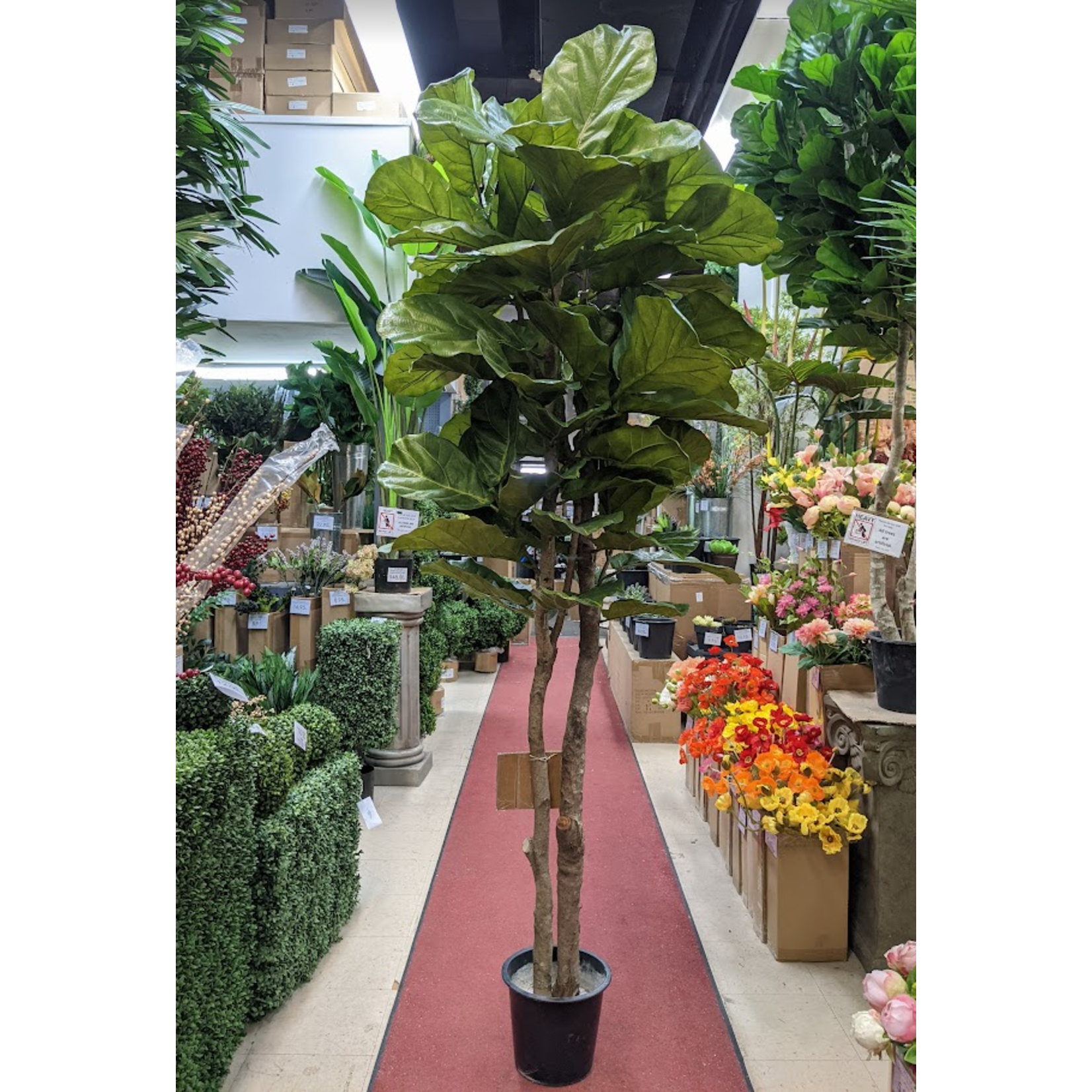 8' FIDDLE LEAF TREE LARGE LEAF