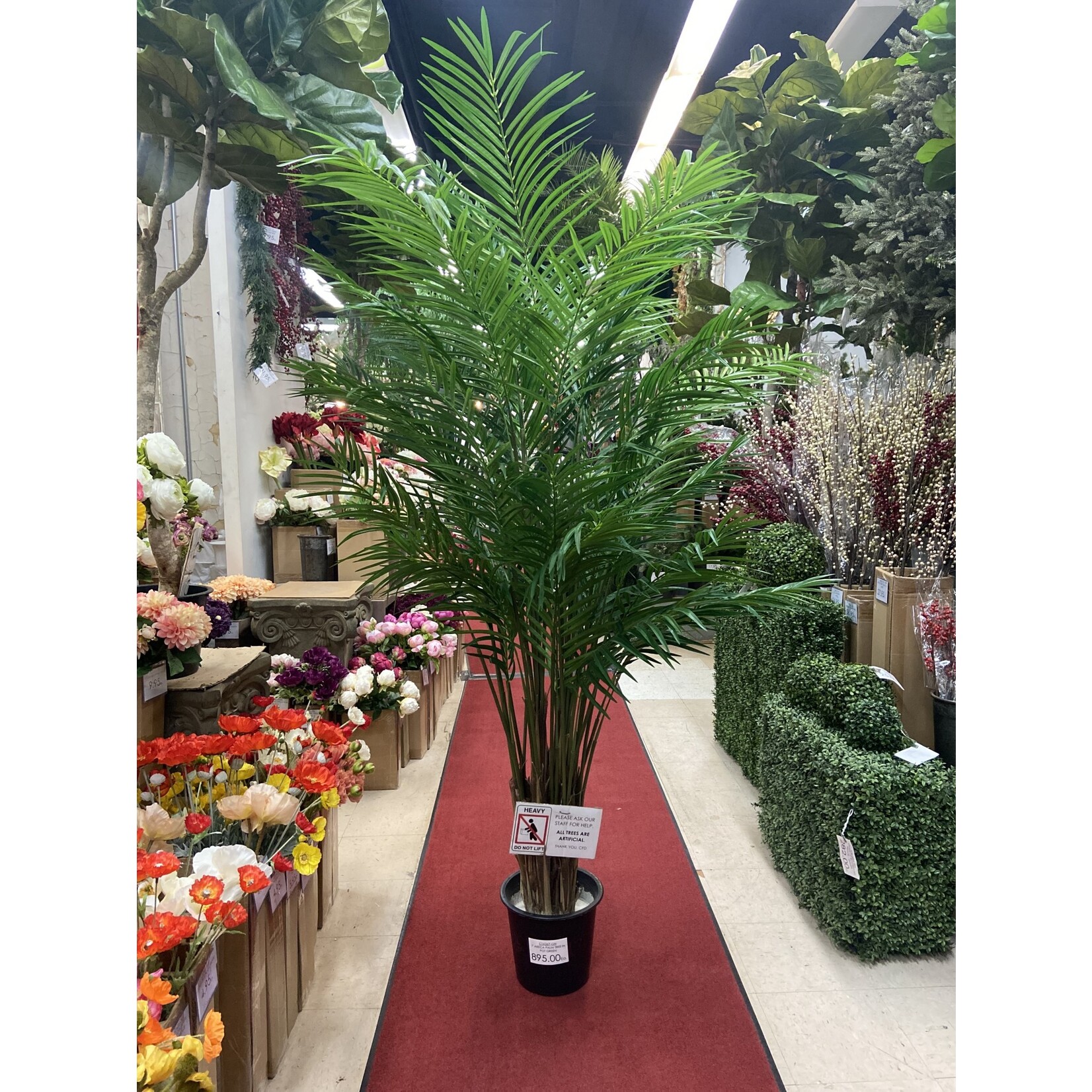 7' ARECA PALM TREE IN POT GREEN (2X)