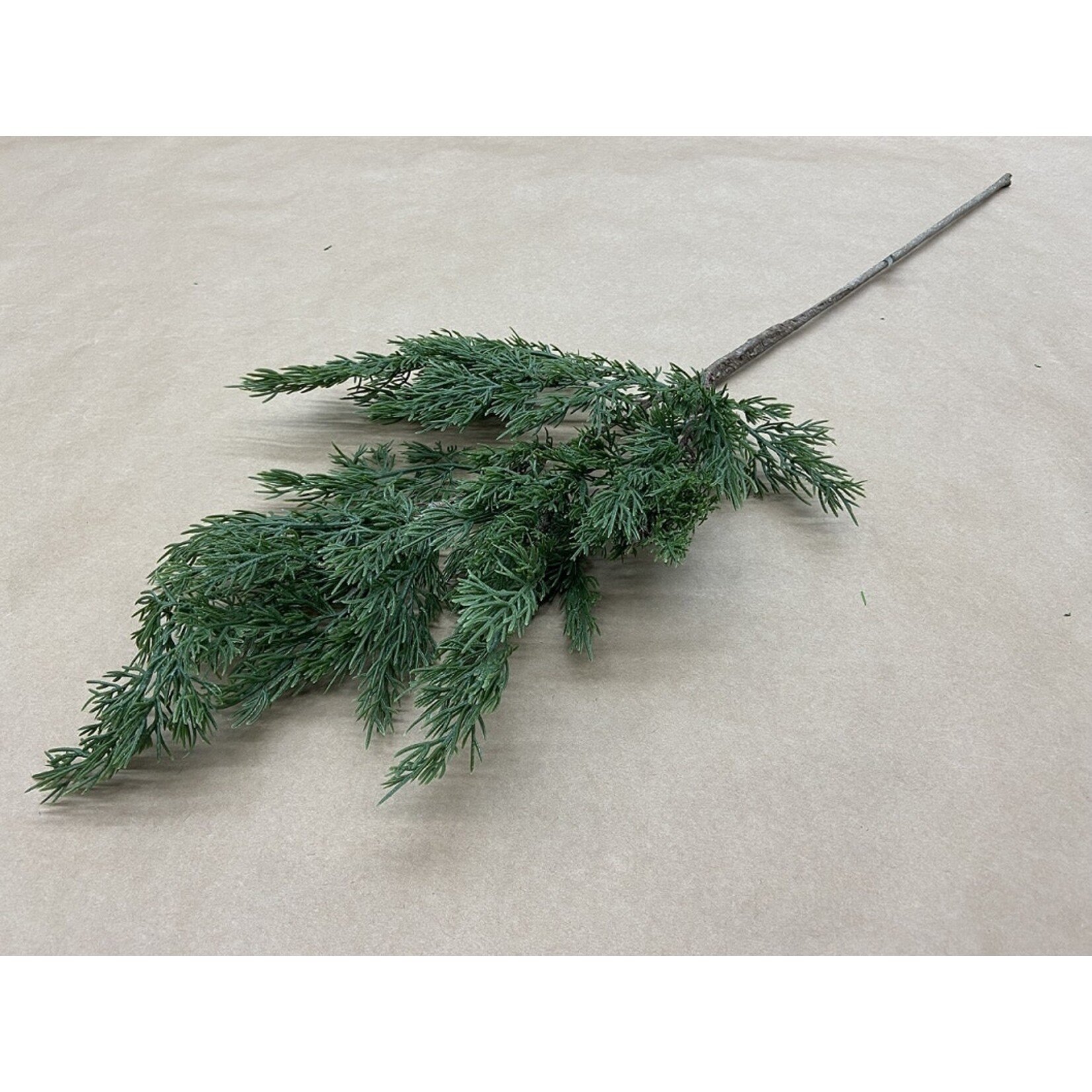 34" CEDAR SPRAY GREEN