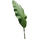 CGE563-GN: 55" BANANA LEAF GREEN