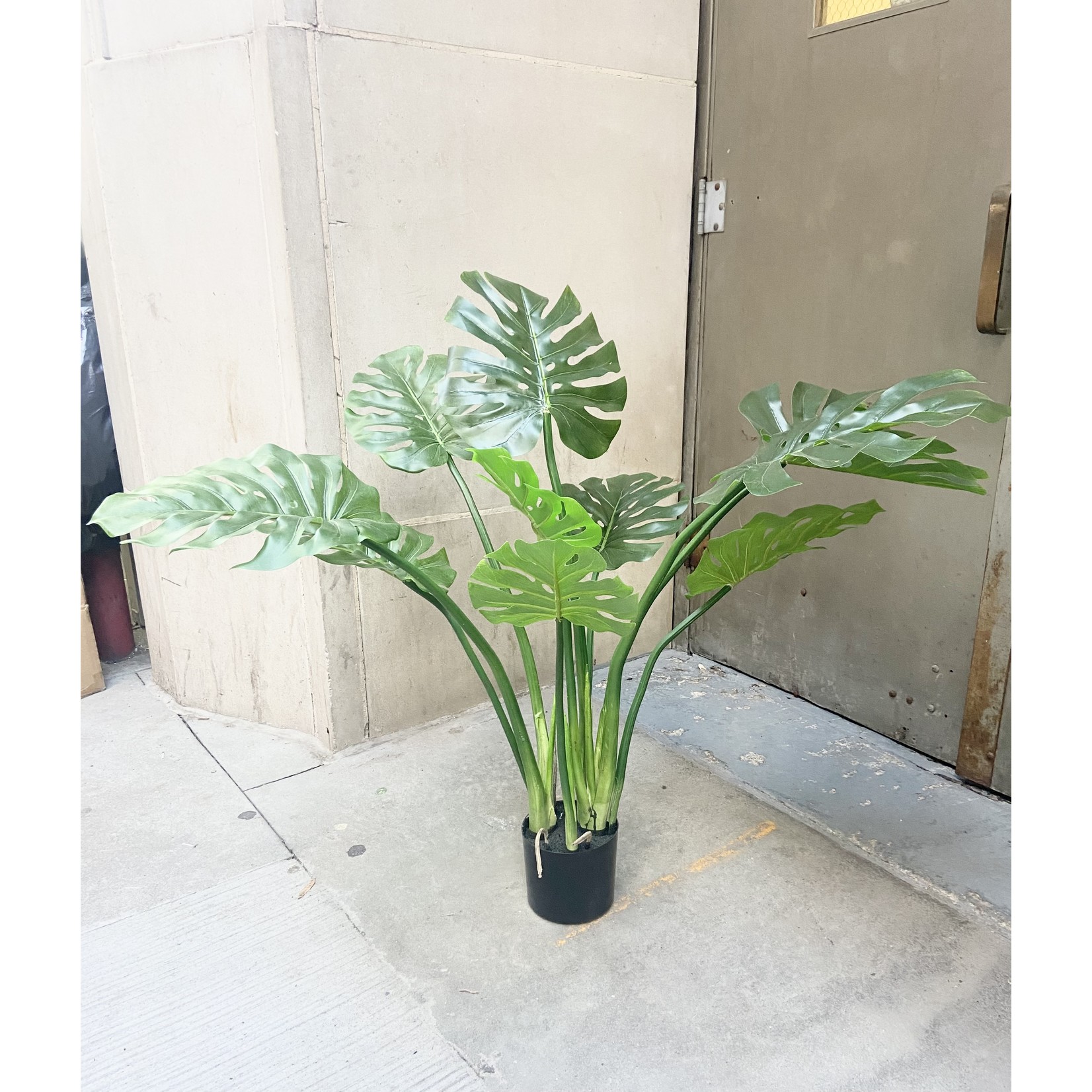 39" SPLIT PHILO PLANT GREEN TWO TONE