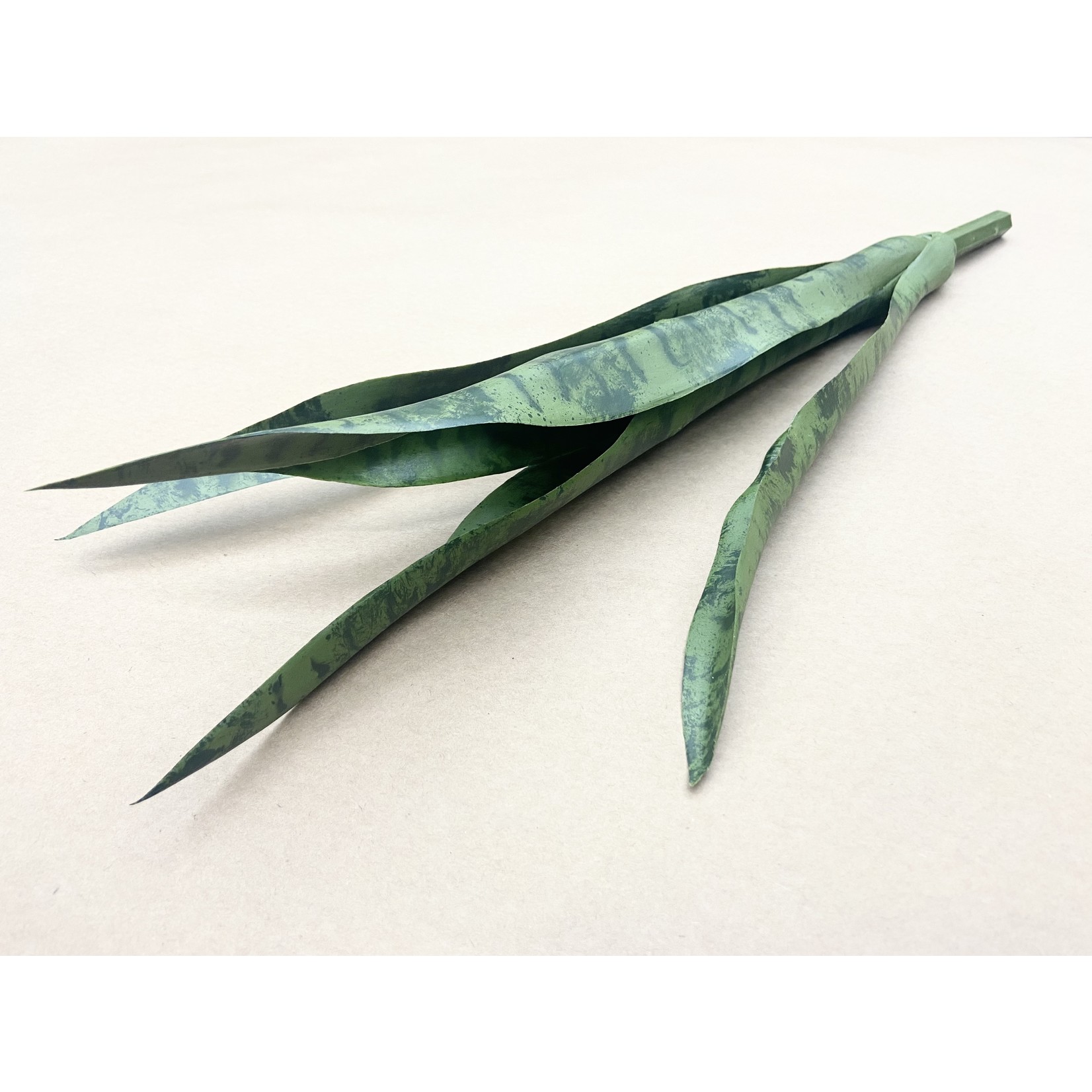 24" MOTHER-IN-LAW'S TONGUE GREEN