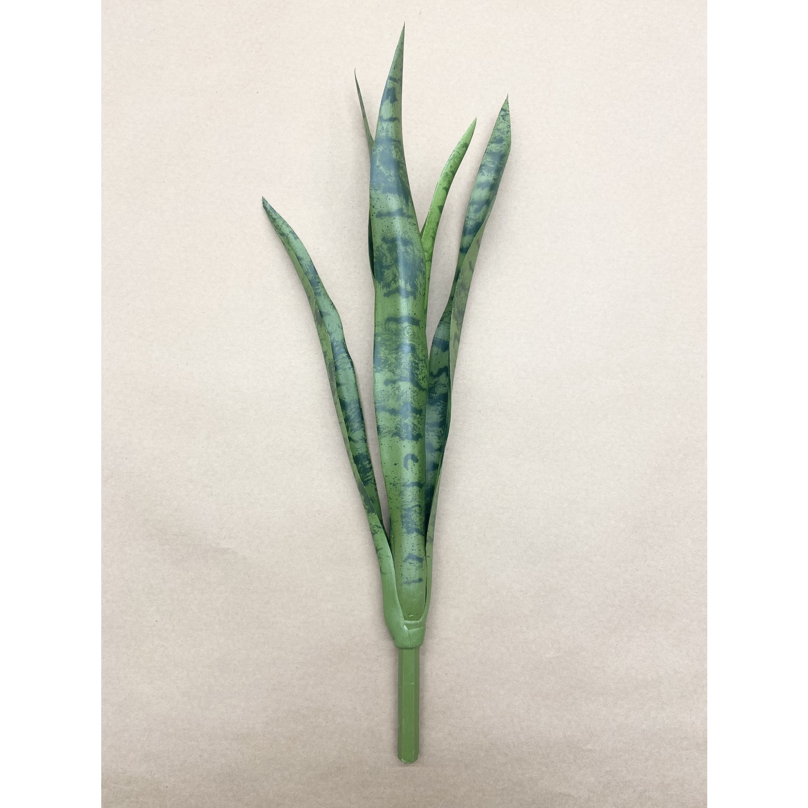 24" MOTHER-IN-LAW'S TONGUE GREEN