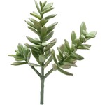 CSS003-GN/FS: 15" SUCCULENT PLANT FROSTED GREEN