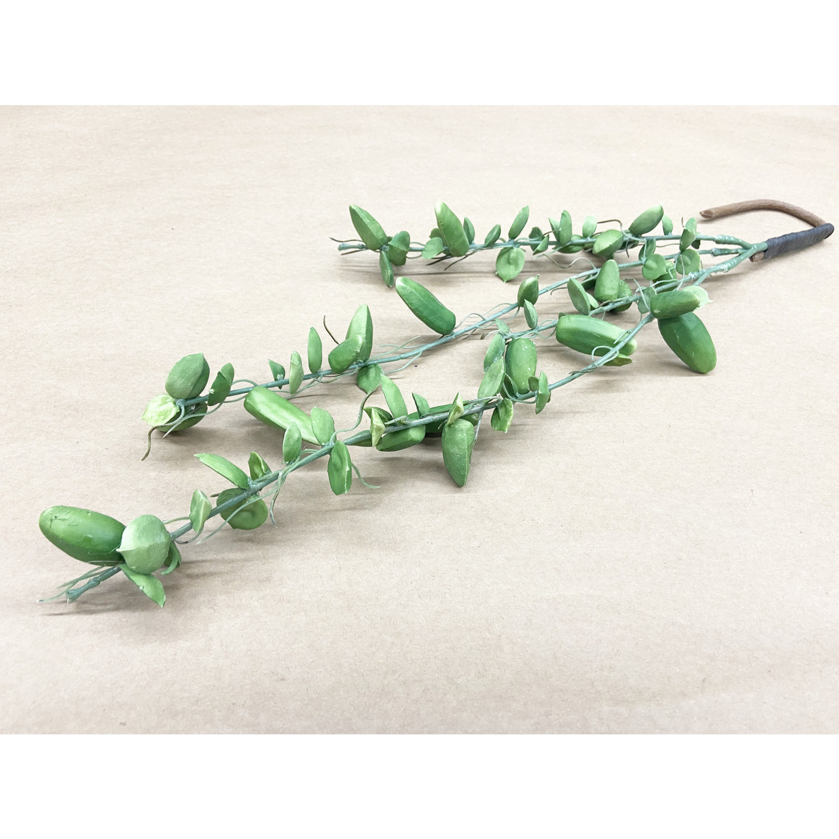 24" DISCHIDIA HANGING SPRAY GREEN