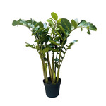PLT034-GN: 3' ZAMIOCULCAS ZAMIIFOLIA PLANT IN POT GREEN