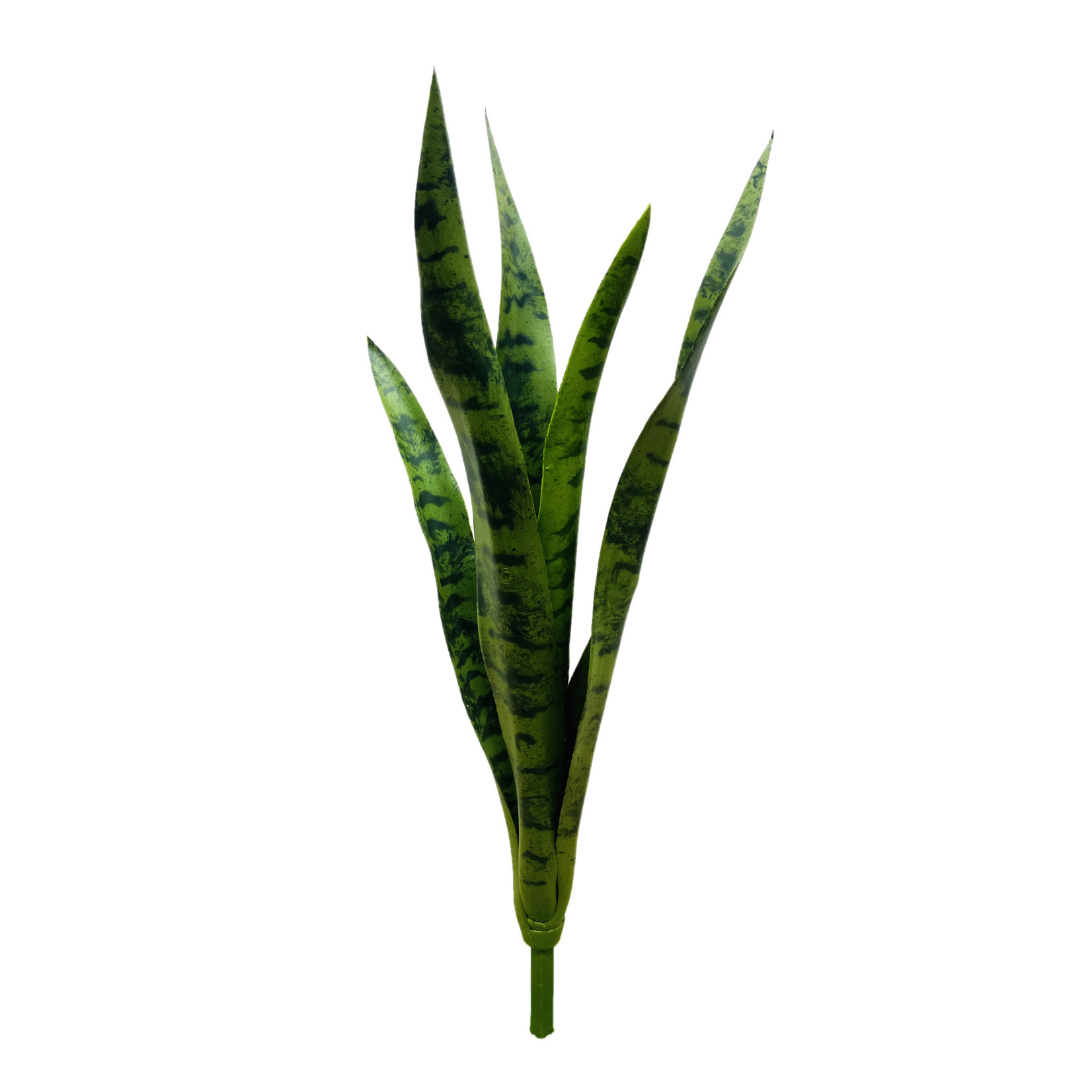 24" MOTHER-IN-LAW'S TONGUE GREEN