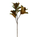 XGE078-GN: 41" MAGNOLIA FOLIAGE GREEN