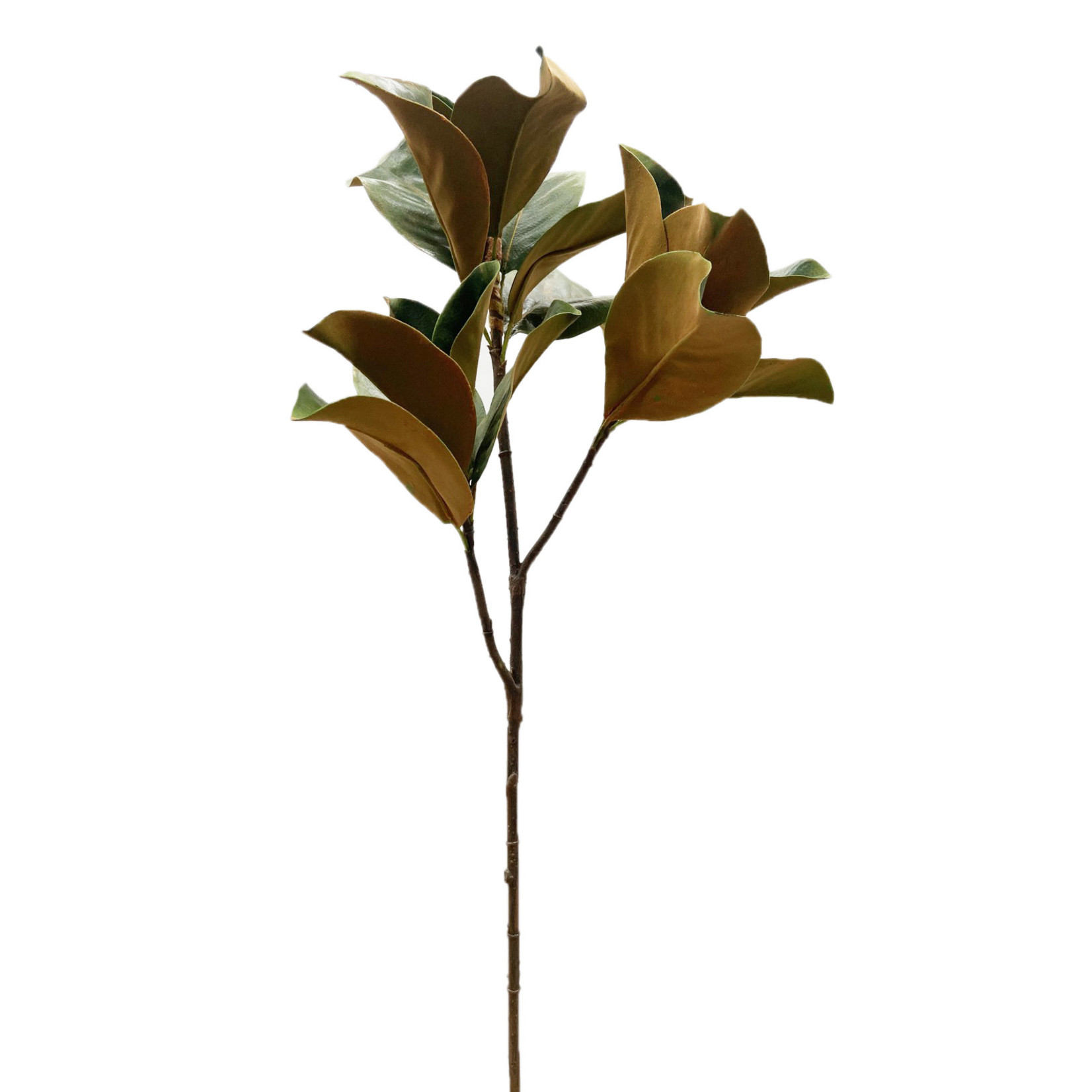 41" MAGNOLIA FOLIAGE GREEN