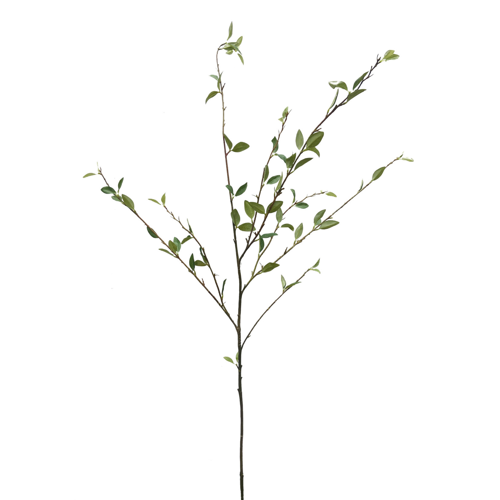 48" PERBERRY LEAF SPRAY GREEN