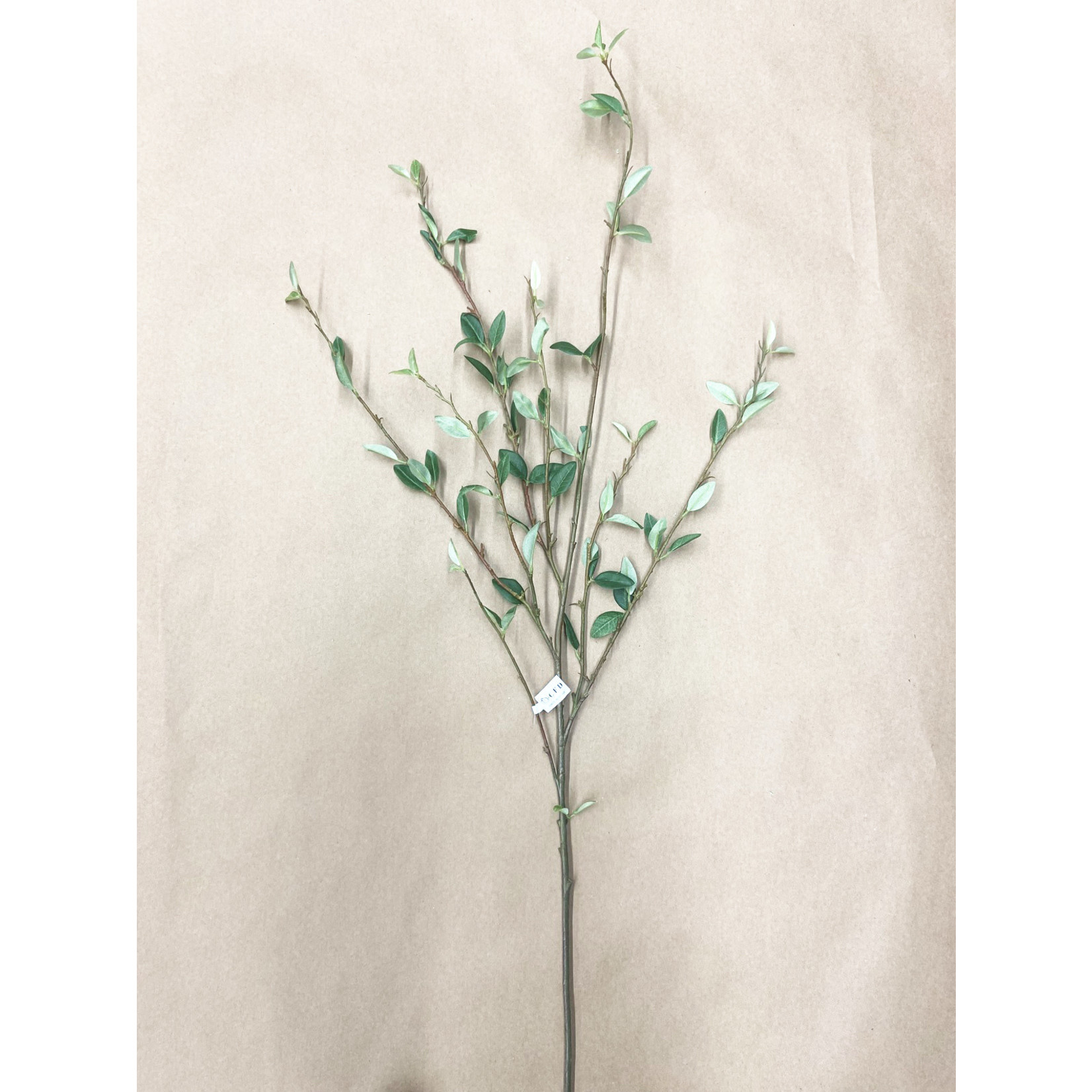 48" PERBERRY LEAF SPRAY GREEN