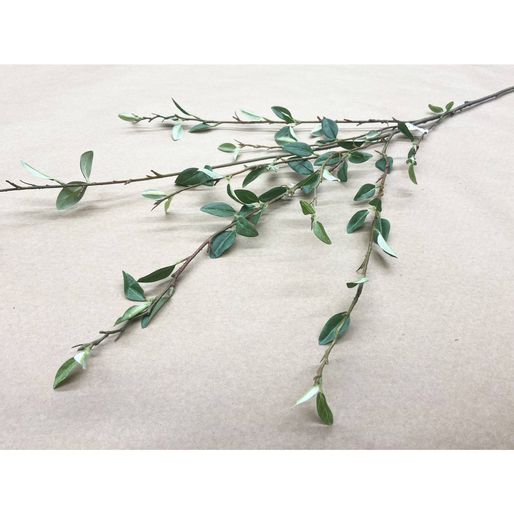 48" PERBERRY LEAF SPRAY GREEN