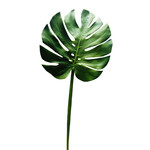 CGE501-GN: 38" MONSTERA LEAF SPRAY GREEN