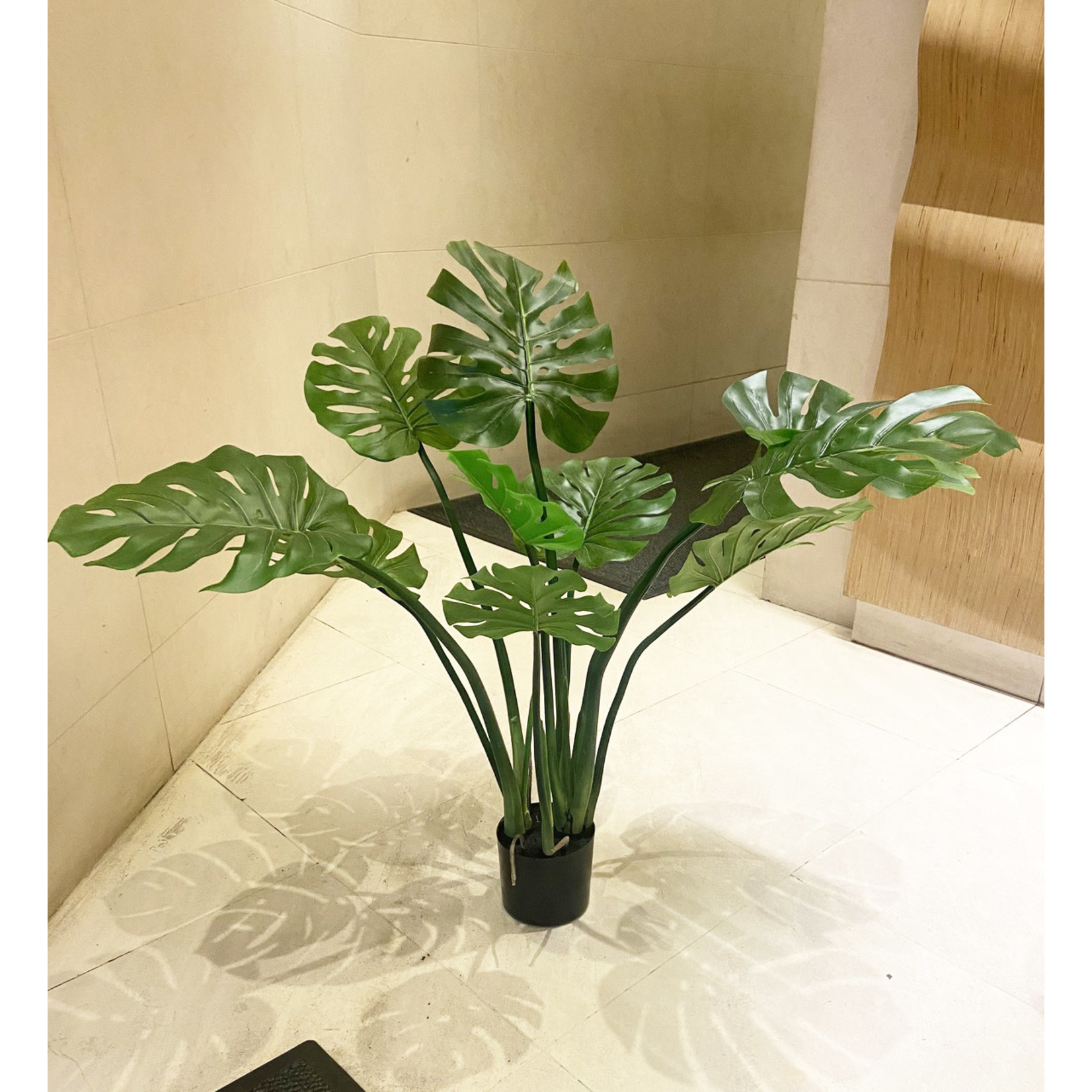 39" SPLIT PHILO PLANT GREEN TWO TONE