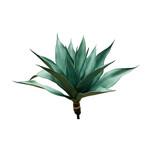 CSS793-GN: 25" AGAVE PLANT GREEN