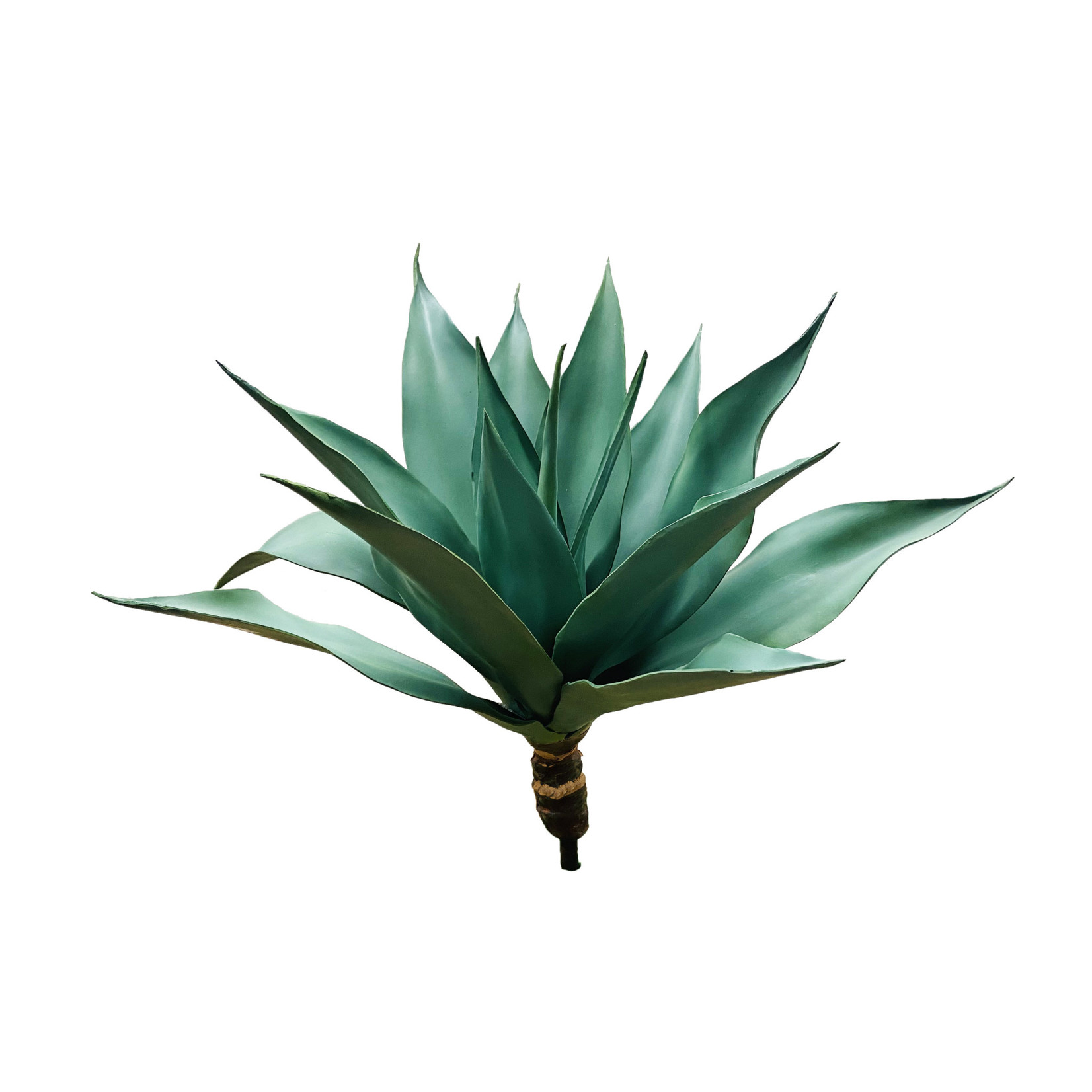 25" AGAVE PLANT GREEN