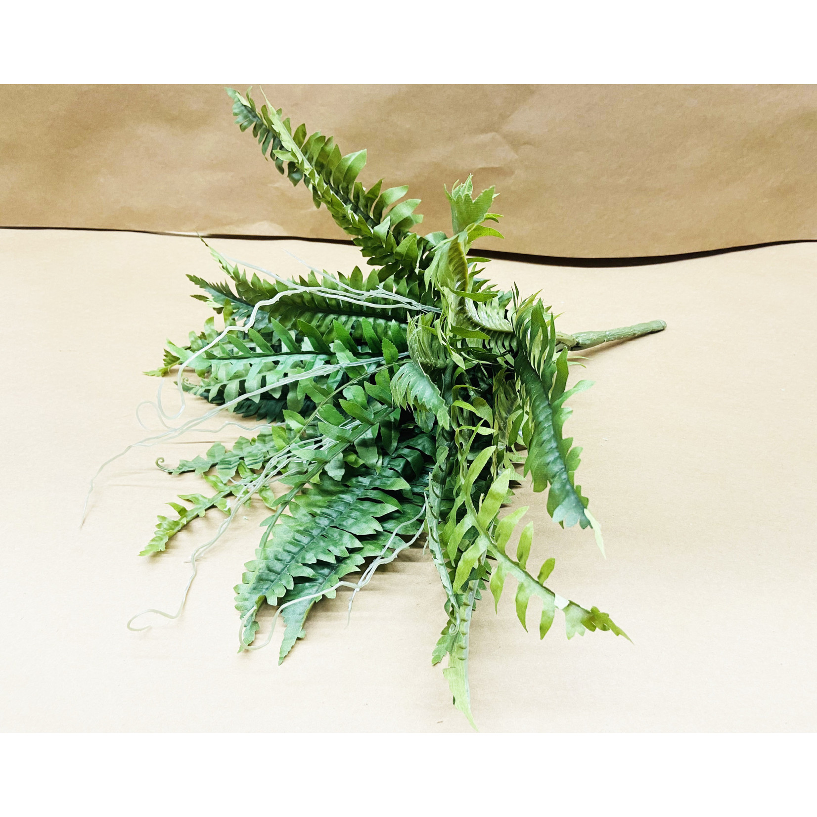 19" NEW BOSTON FERN BUSH GREEN