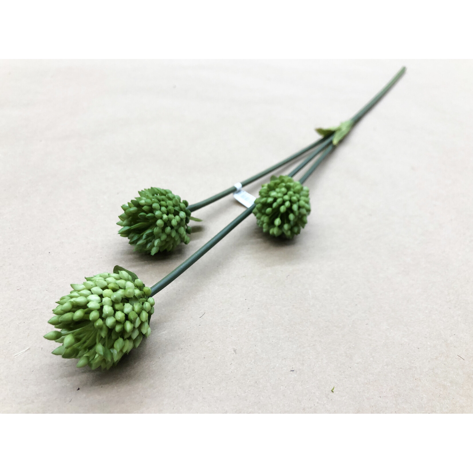 27" ALLIUM SPRAY GREEN